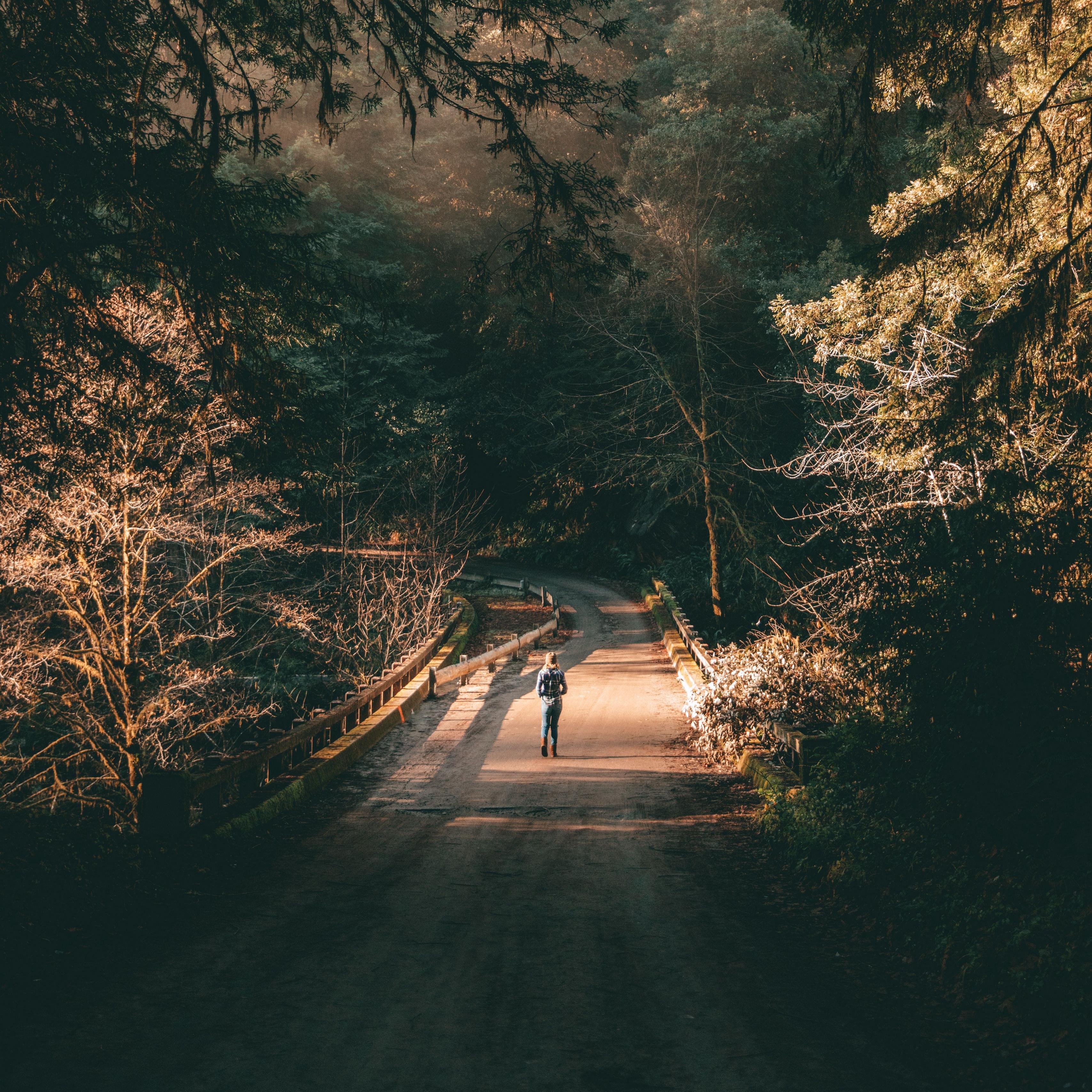 Download wallpaper 3415x3415 forest, road, man, lonely