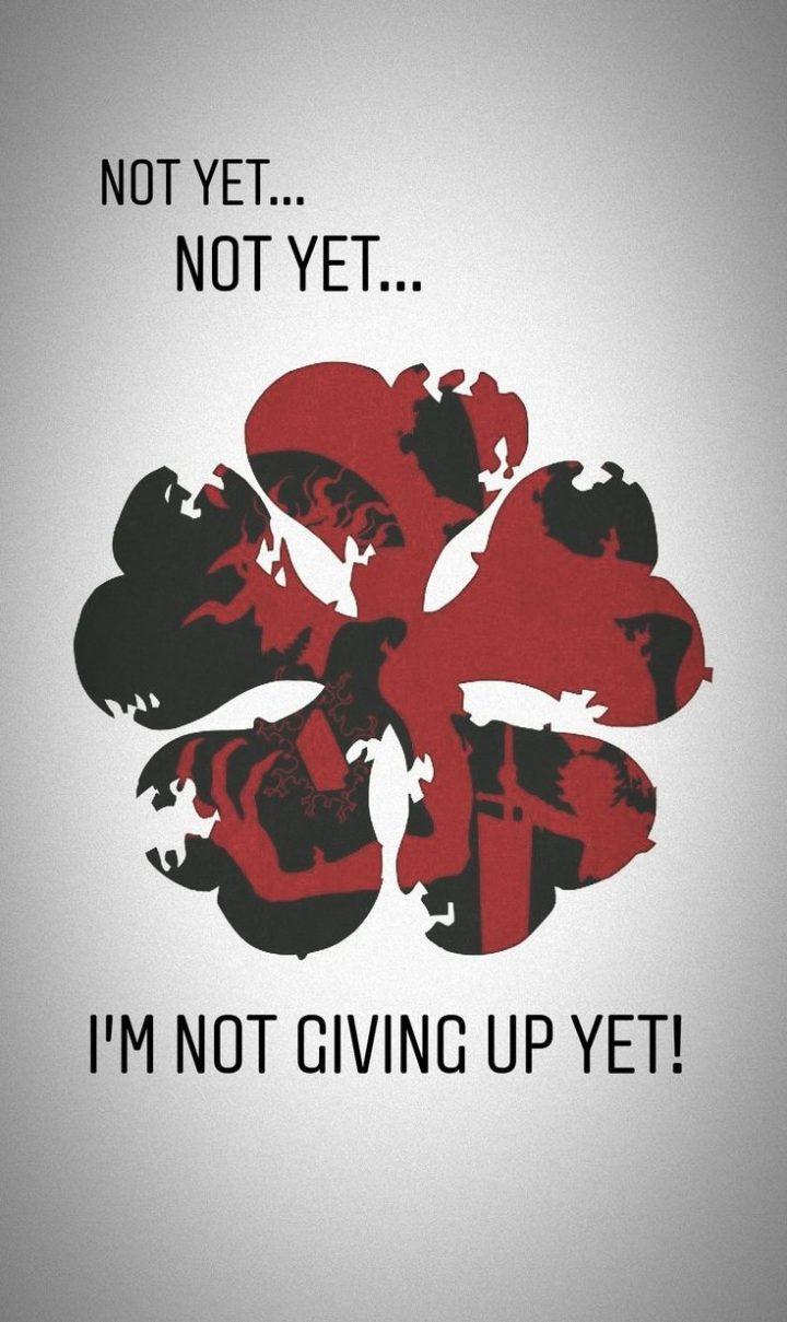 Wallpaper Clover Asta Demon, HD Wallpaper & background