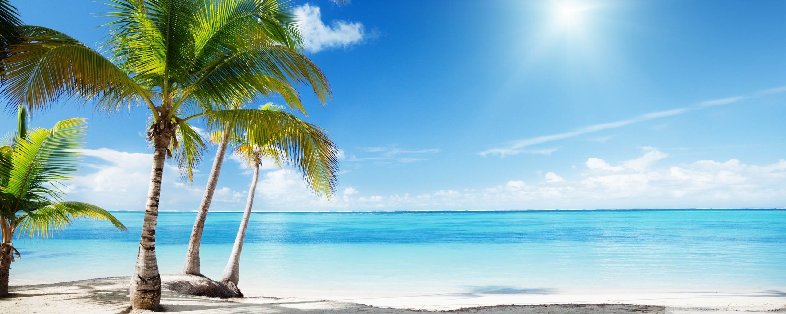Tropical Beach Paradise HD Desktop Wallpaper