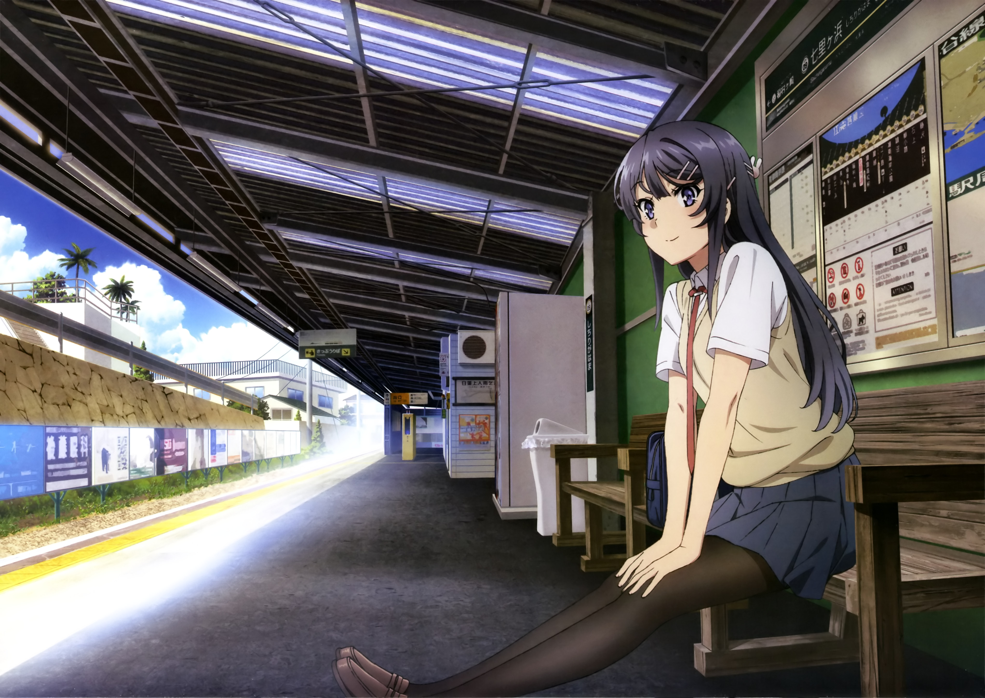 Seishun Buta Yarou Series Anime Image Board
