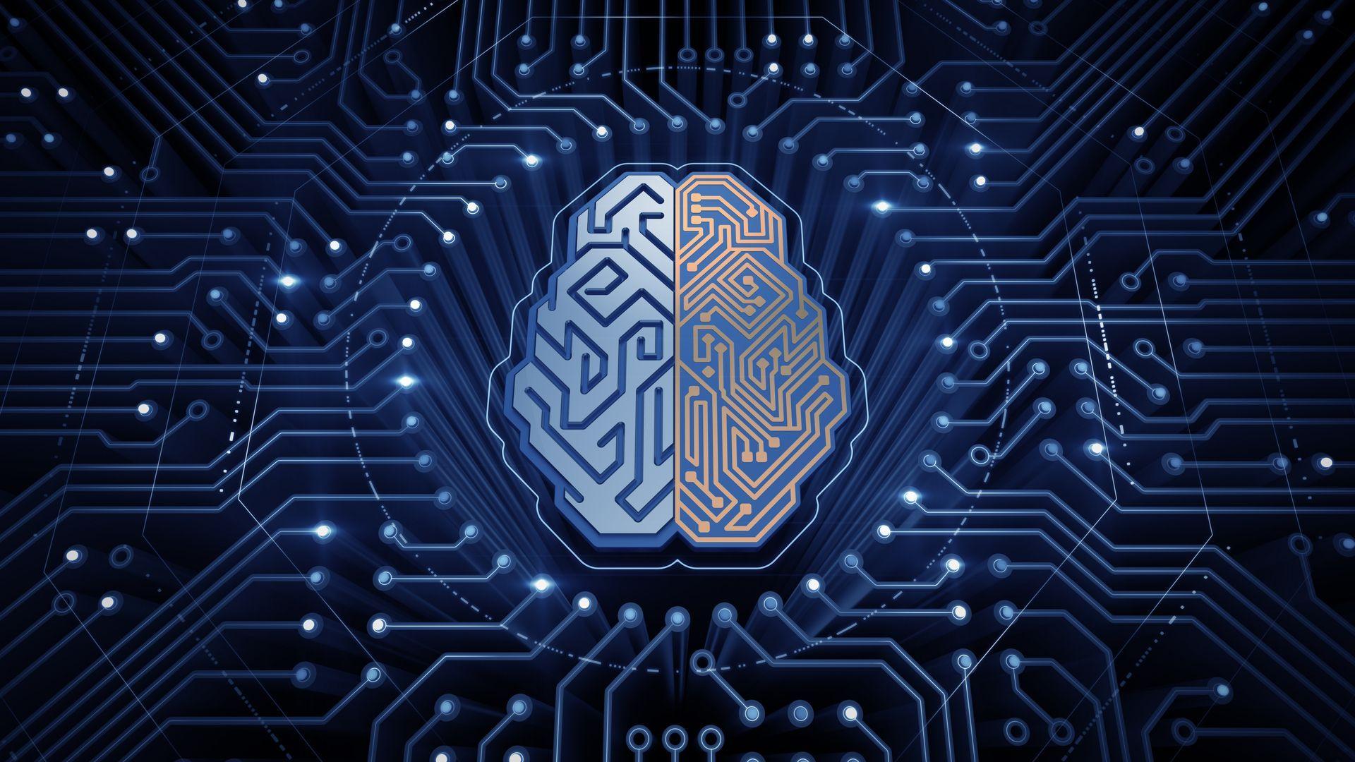 Brain Intelligence Wallpaper Free Brain Intelligence Background