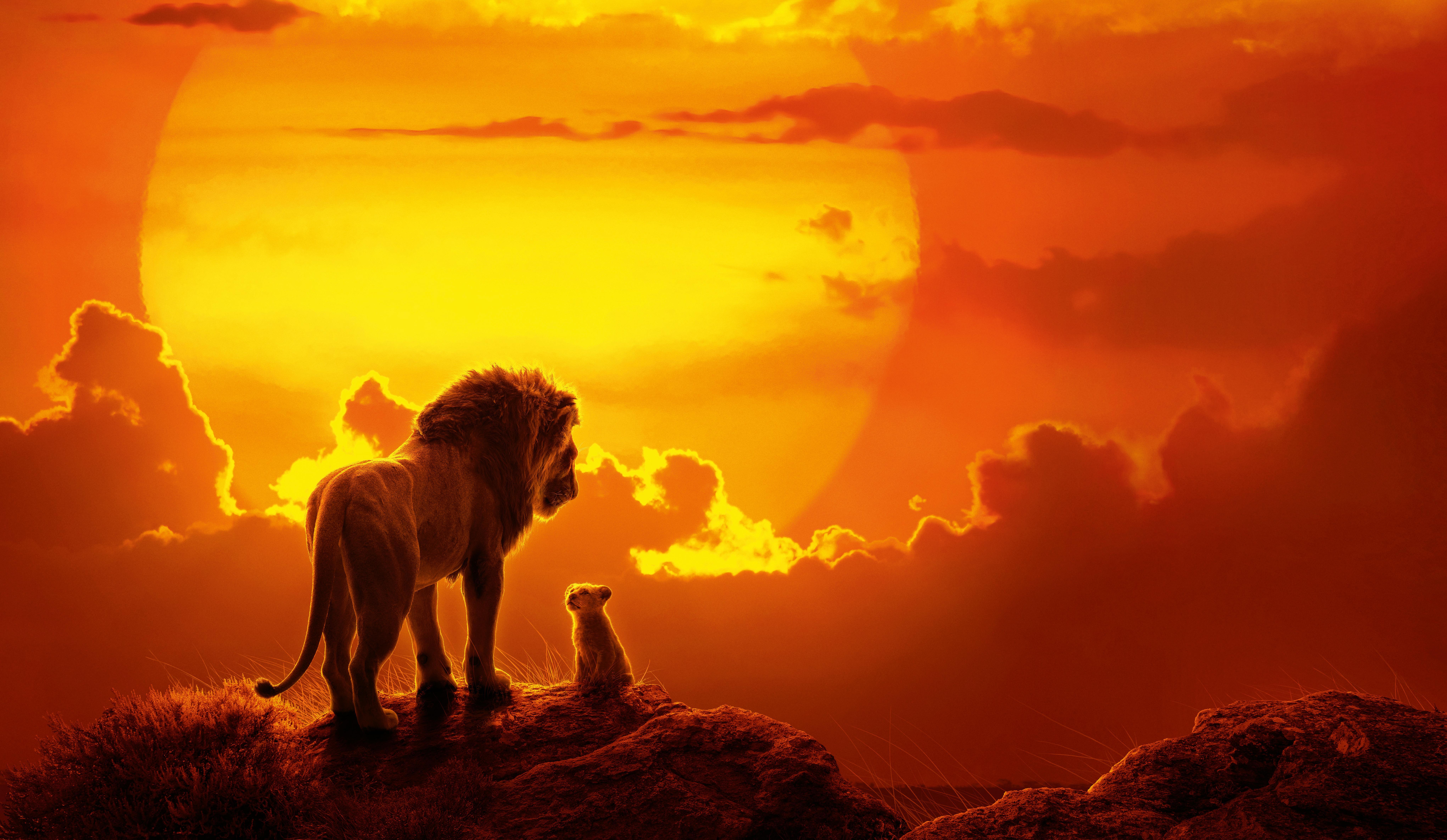 The Lion King (2019) 8k Ultra HD Wallpaper. Background