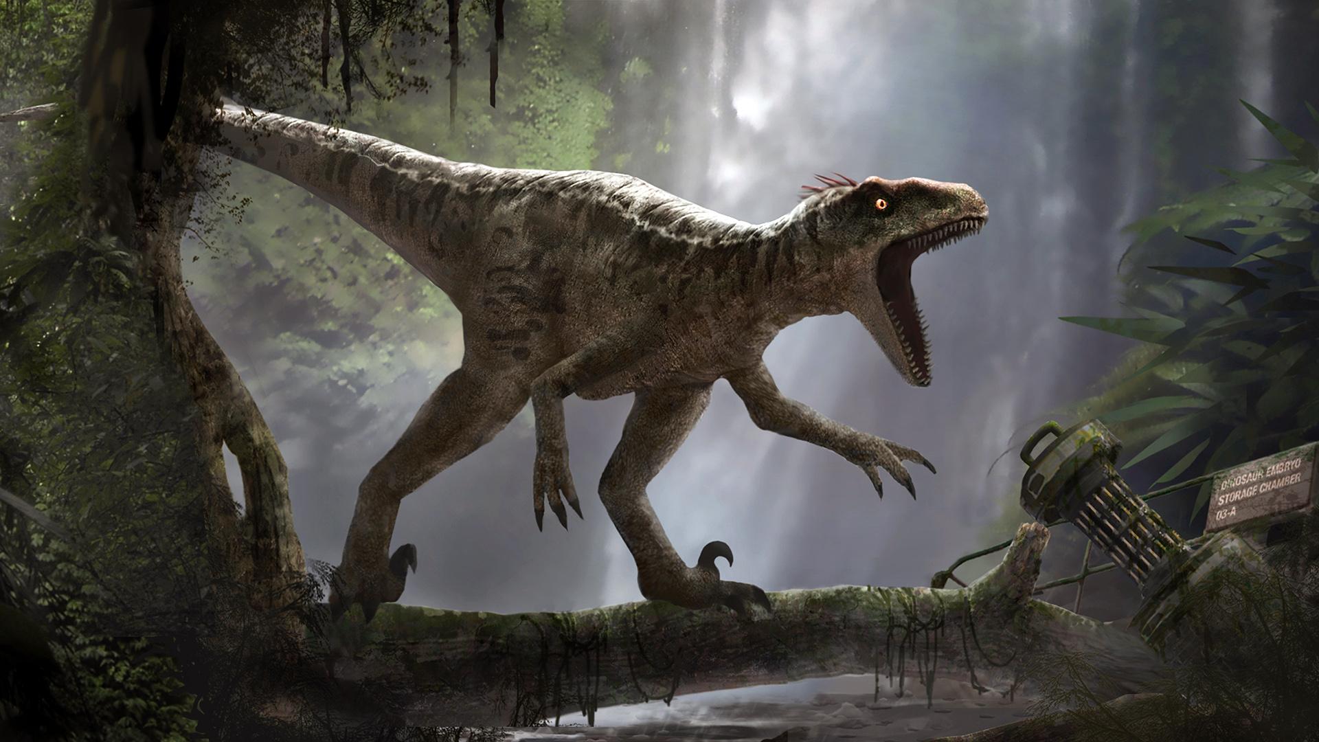 Jurassic Park Wallpaper, Picture, Image