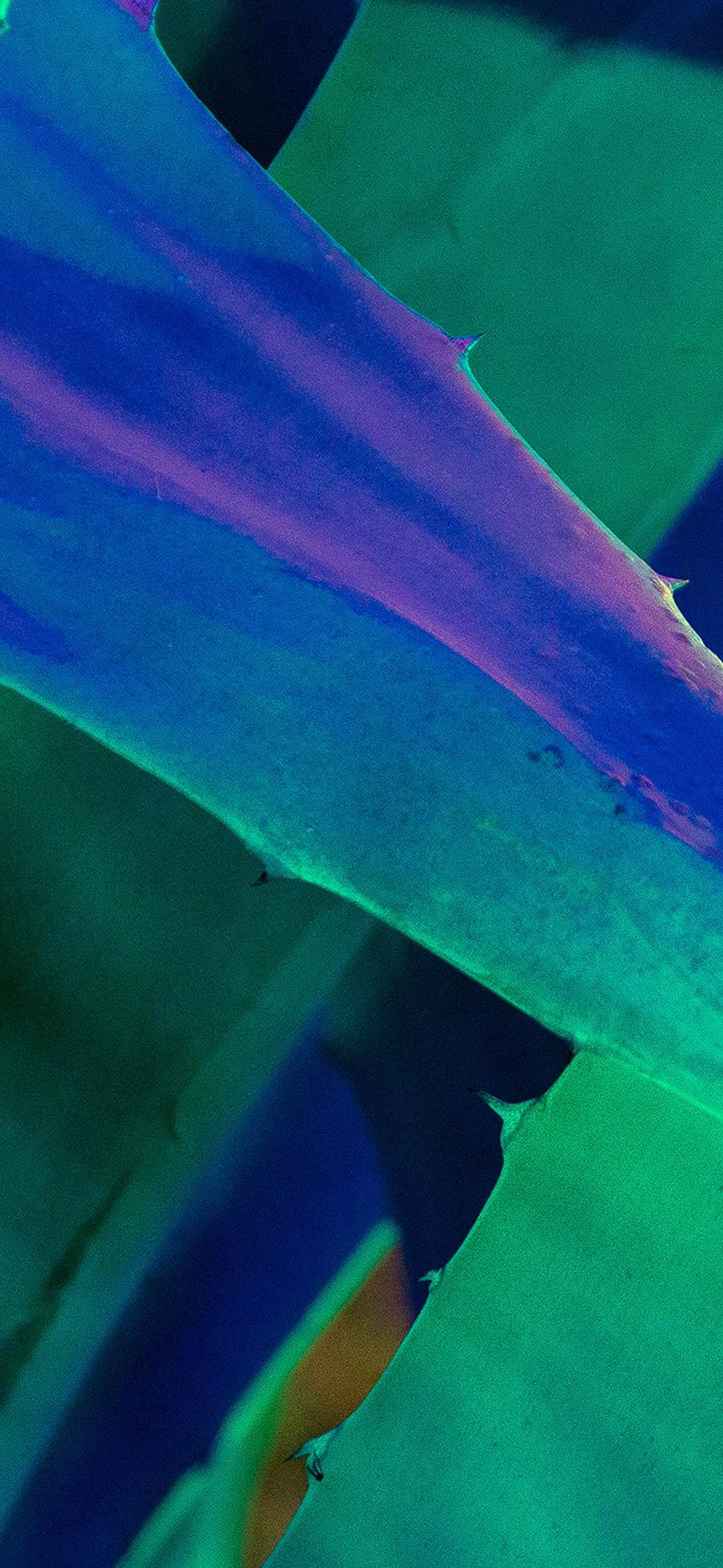 Xiaomi Mi9 Wallpaper Full HD, Download Wallpaper