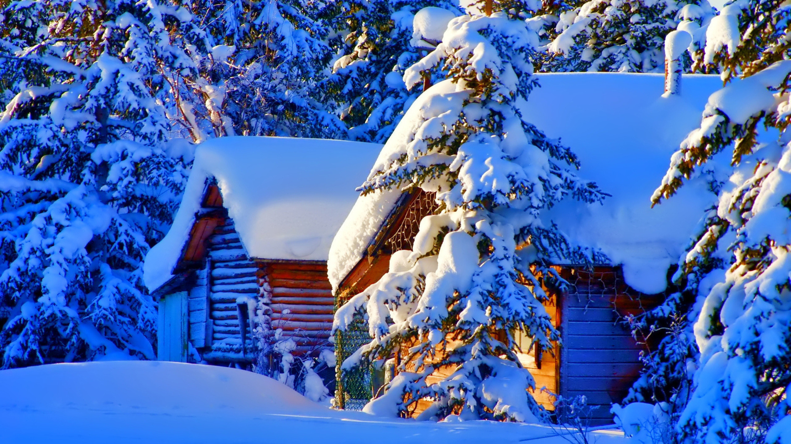 Wood cottage full with snow winter season
