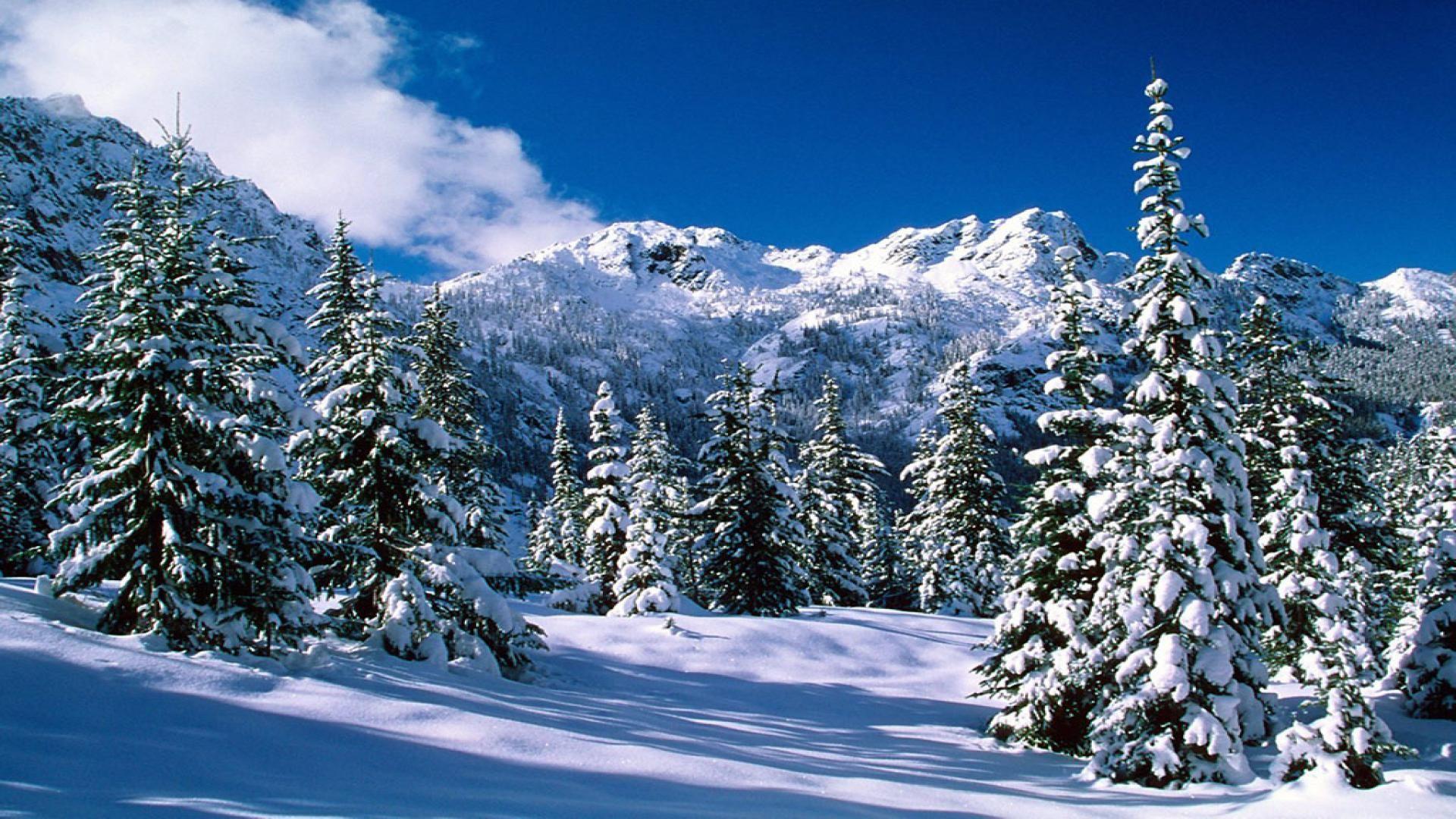 Snow Scenes Desktop Background. Alpine See Wildnis