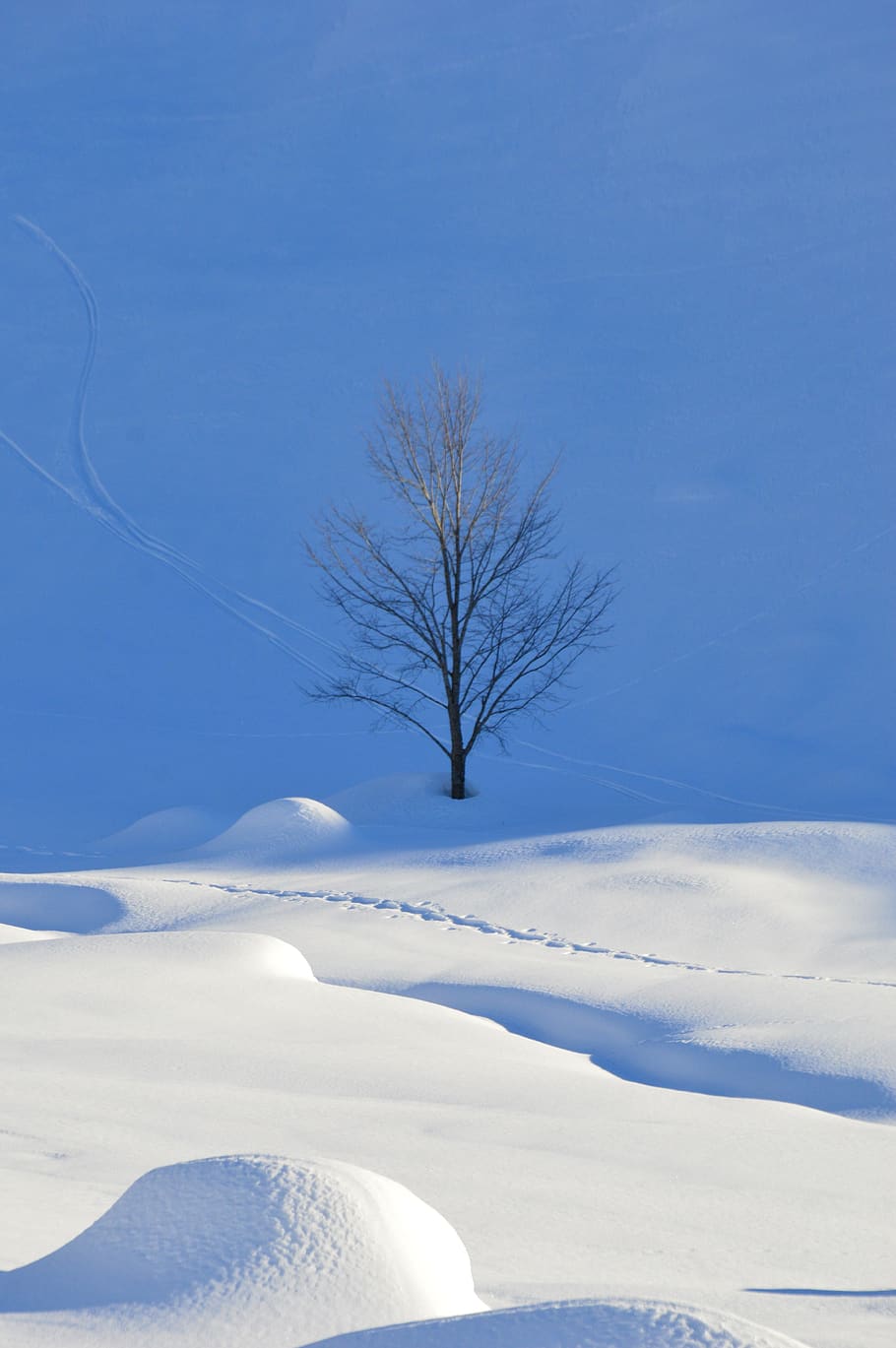 HD wallpaper: winter, snow, cold, alpine, snowflake, wintry