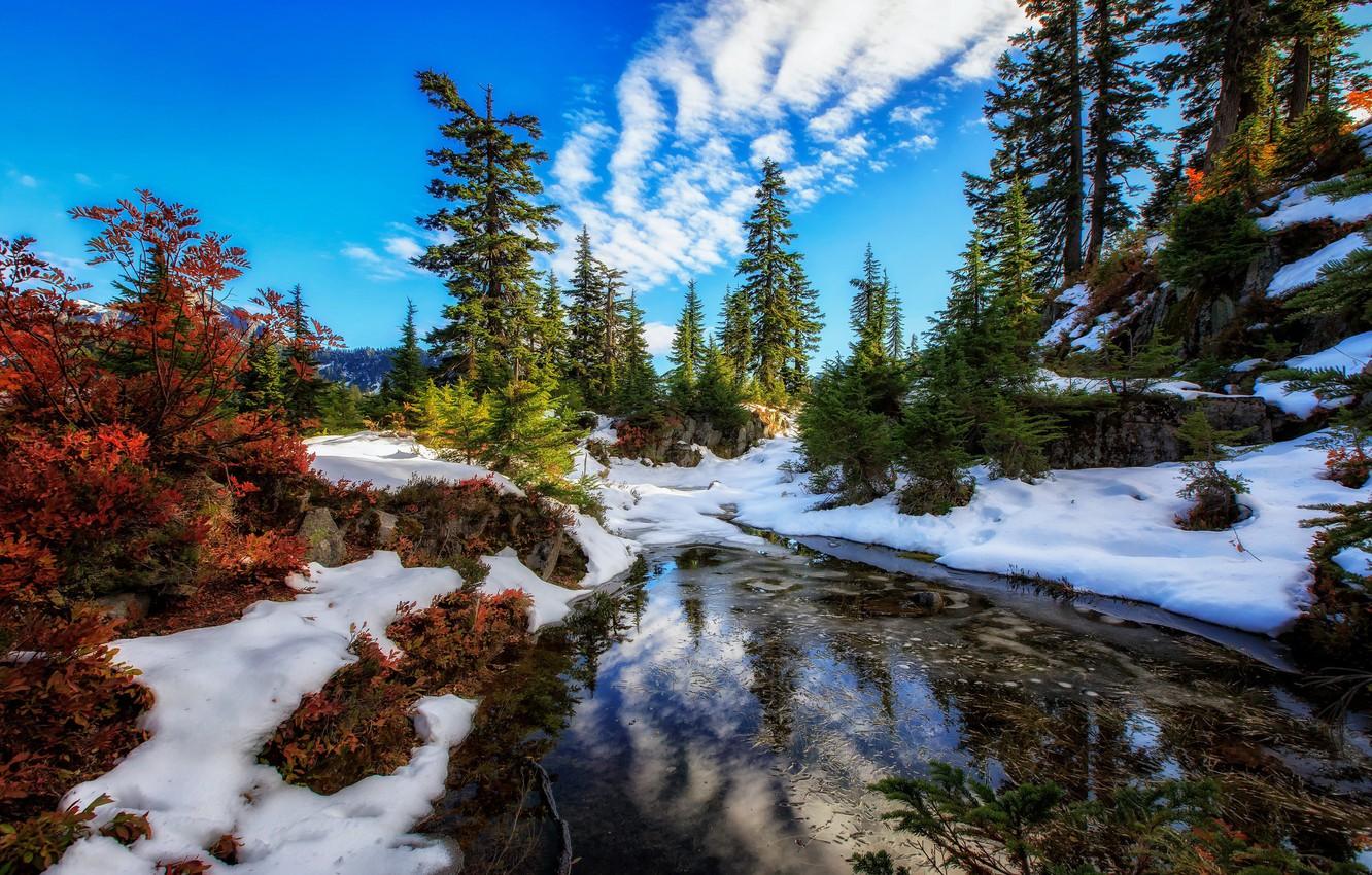 Wallpaper snow, trees, lake, Washington, Washington State