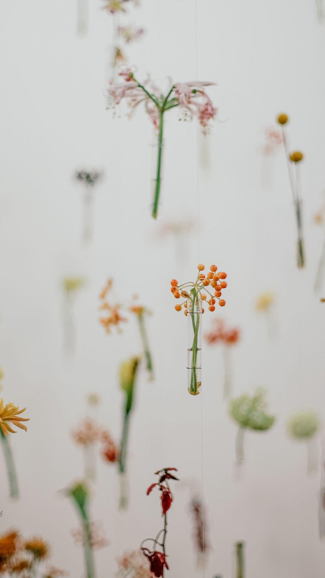 Minimal, Hanging, Flowers, Wallpaper Hanging