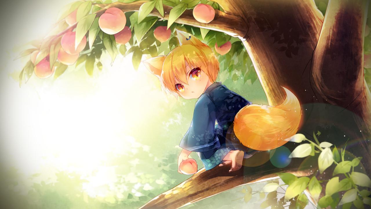 Orange slice of fruit illustration, original characters, anime girls,  animal ears HD wallpaper | Wallpaper Flare
