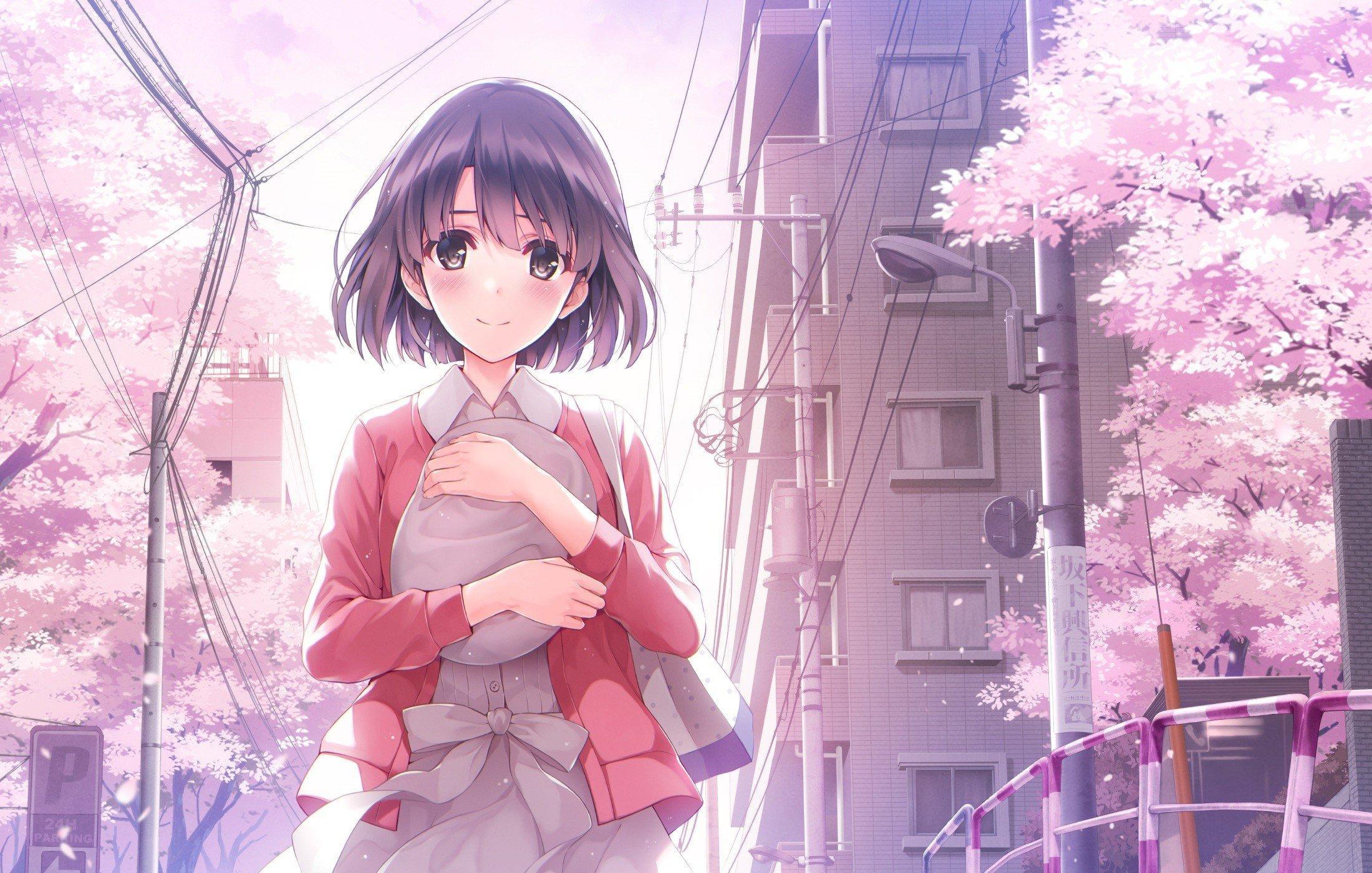 Anime Cherry Blossom Wallpaper Kato Wallpaper HD