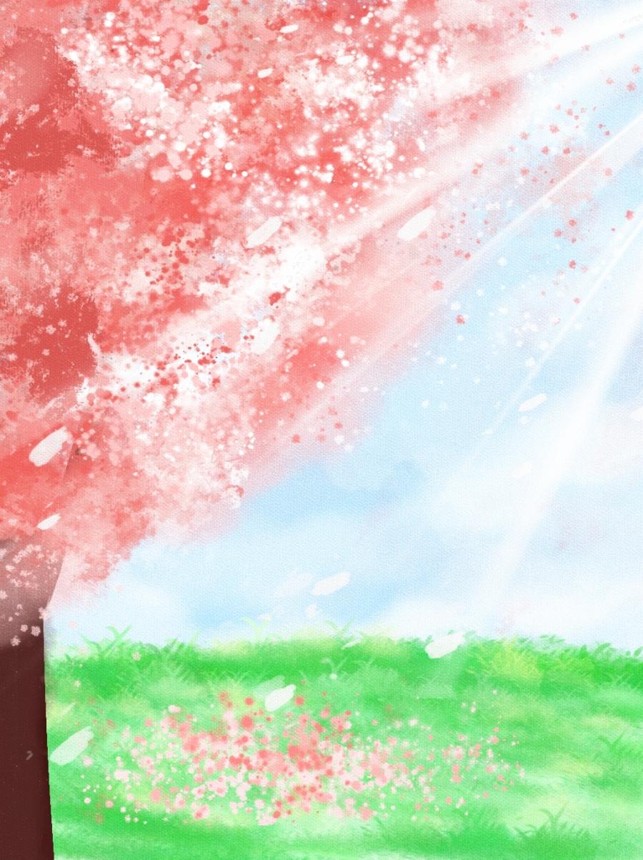 Cherry Blossom Background Anime Background Wallpaper Download, April Is Your Lie, There Are Ma Gongsheng, Gongyuan Xun Background Image for Free Download