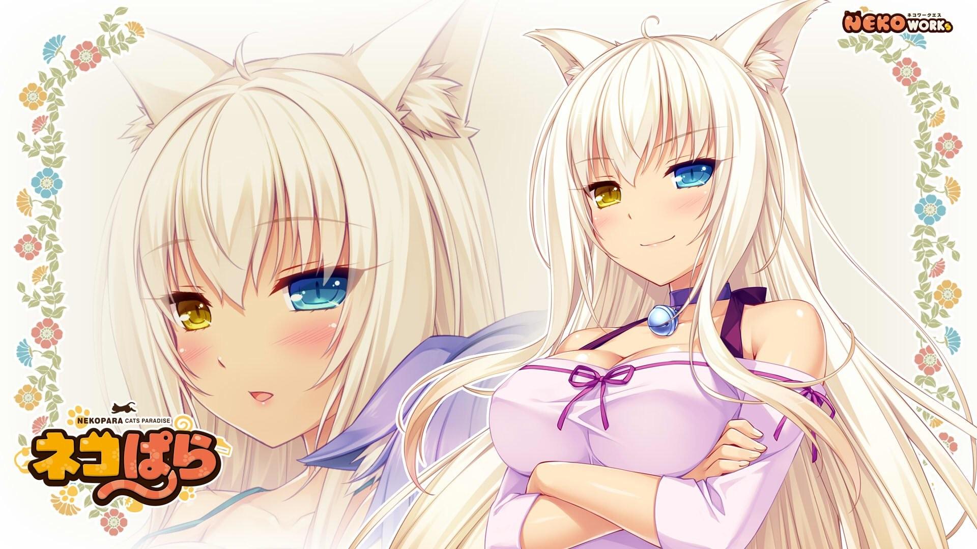 nekopara coconut body pillow