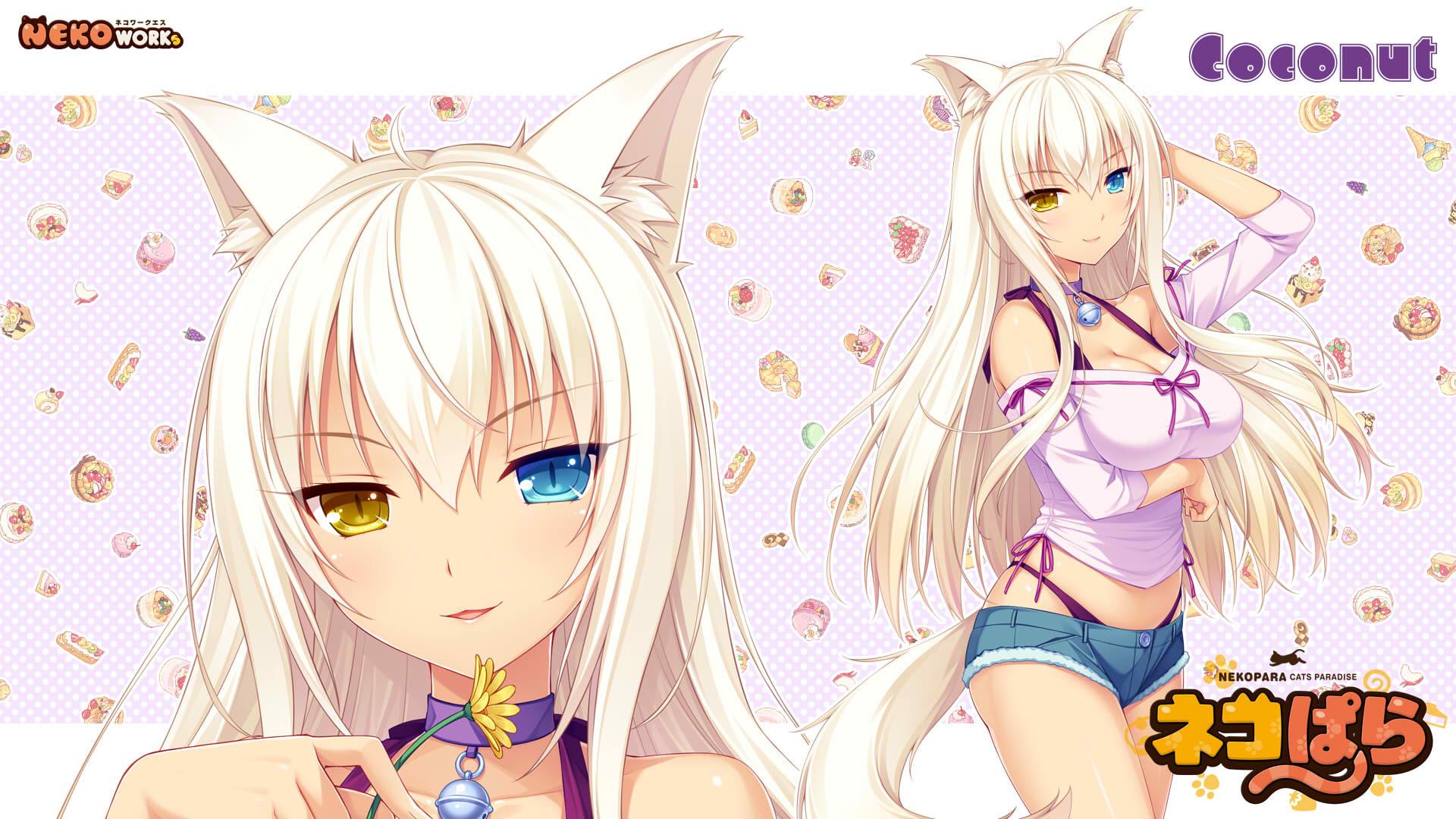 Coconut Nekopara Wallpaper