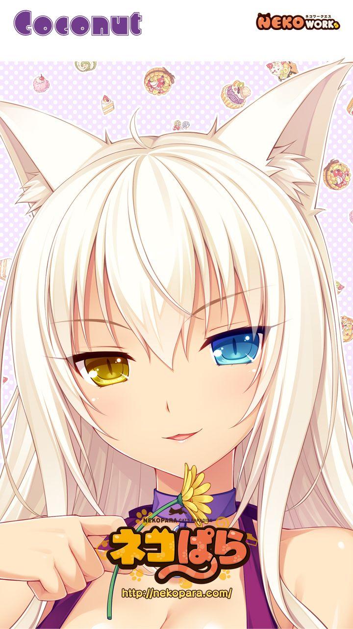 nekopara figure coconut