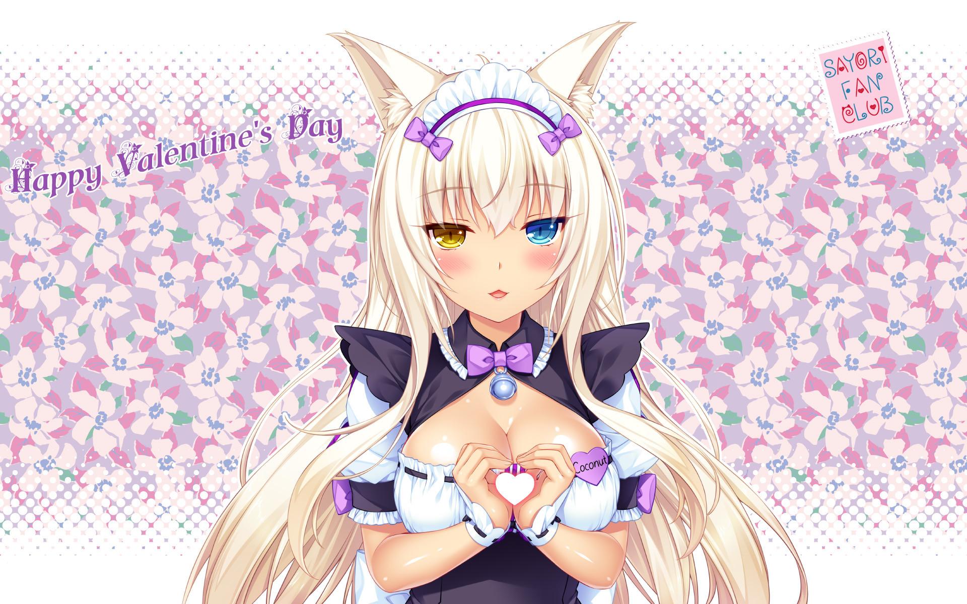 Coconut Nekopara Wallpaper