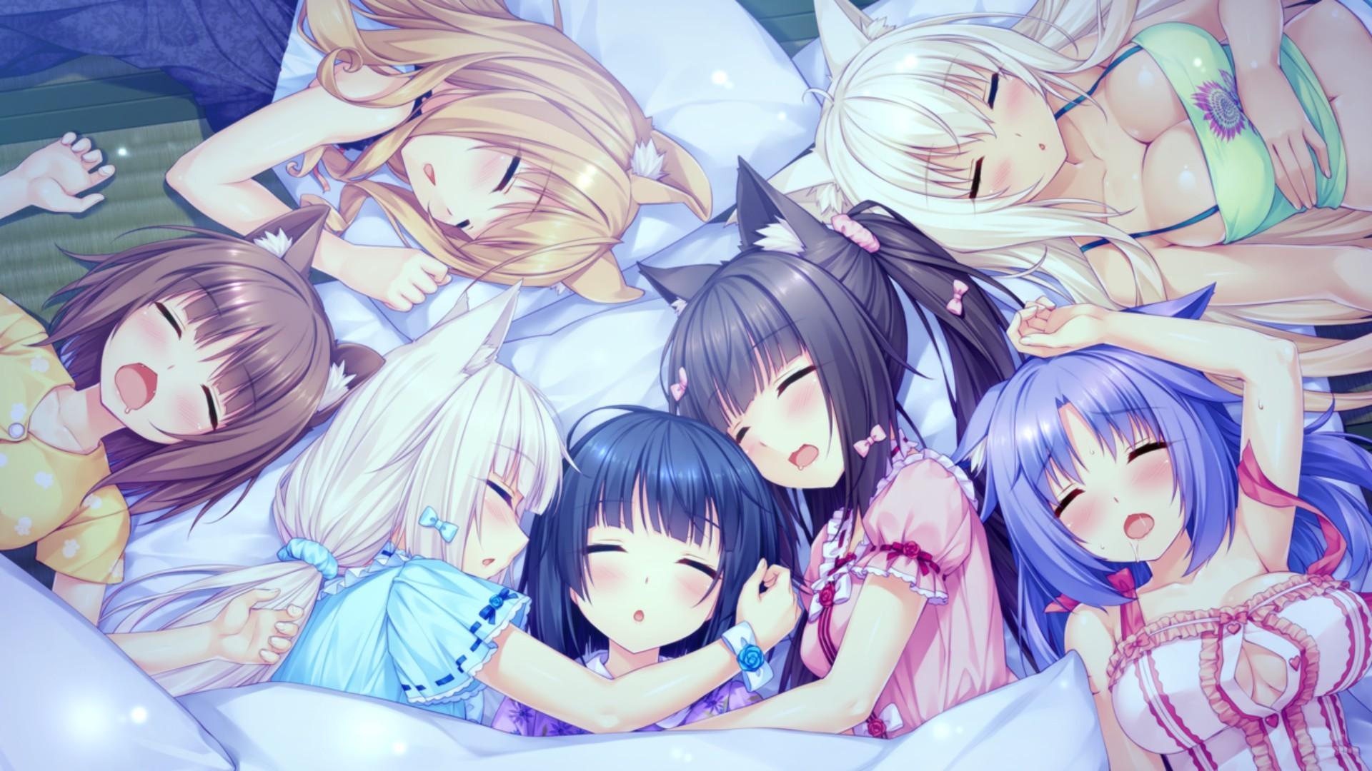 nekopara coconut body pillow