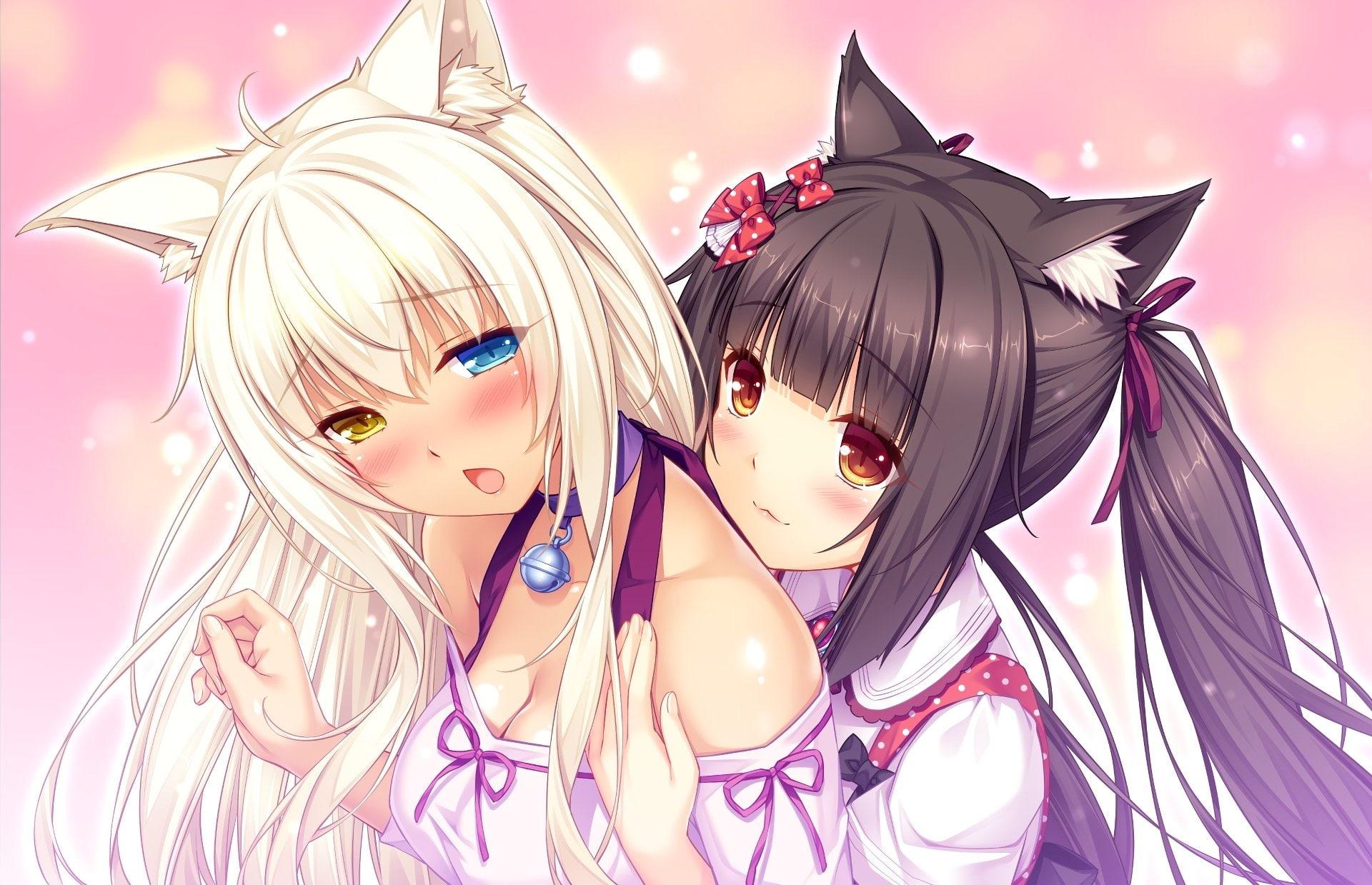 2732x768px. free download. HD wallpaper: nekopara