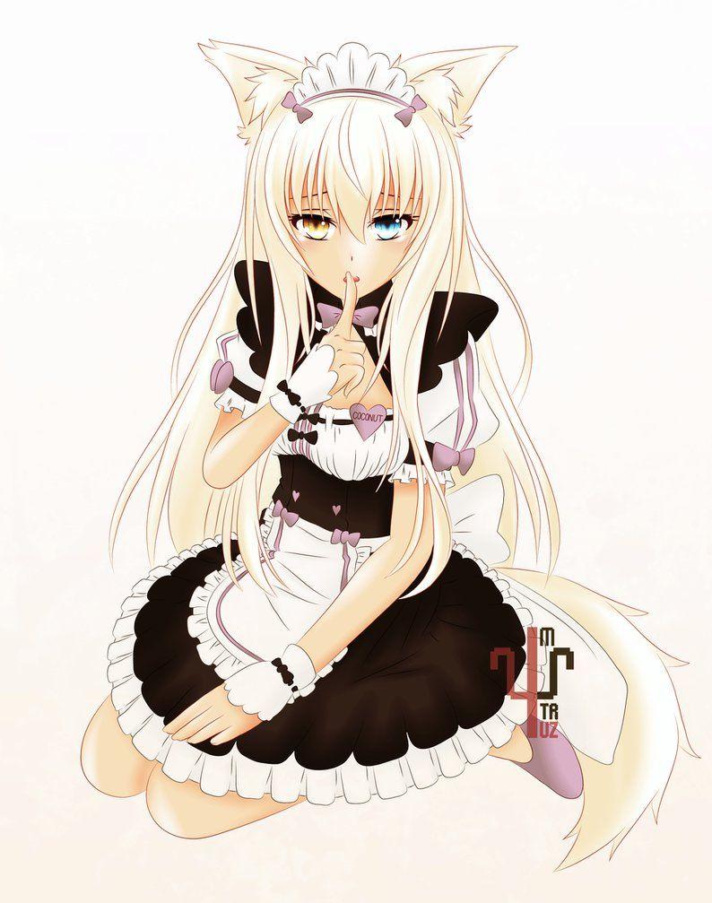 Image result for coconut nekopara. Cute creatures, Anime, Neko