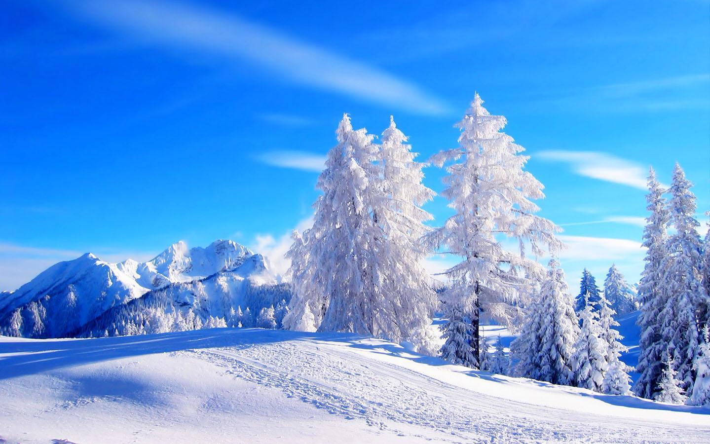 Winter Snow Wallpaper for Android