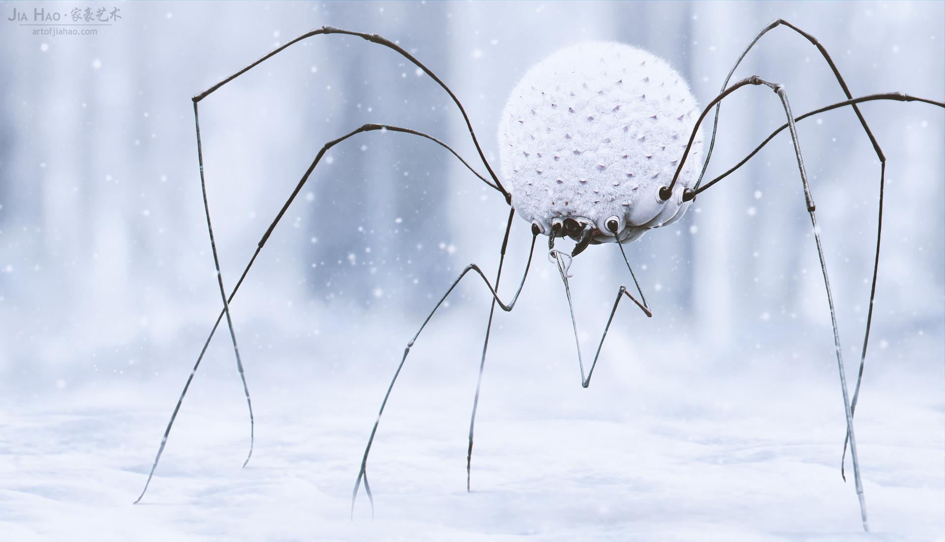 Snow Spider [1920x1102]