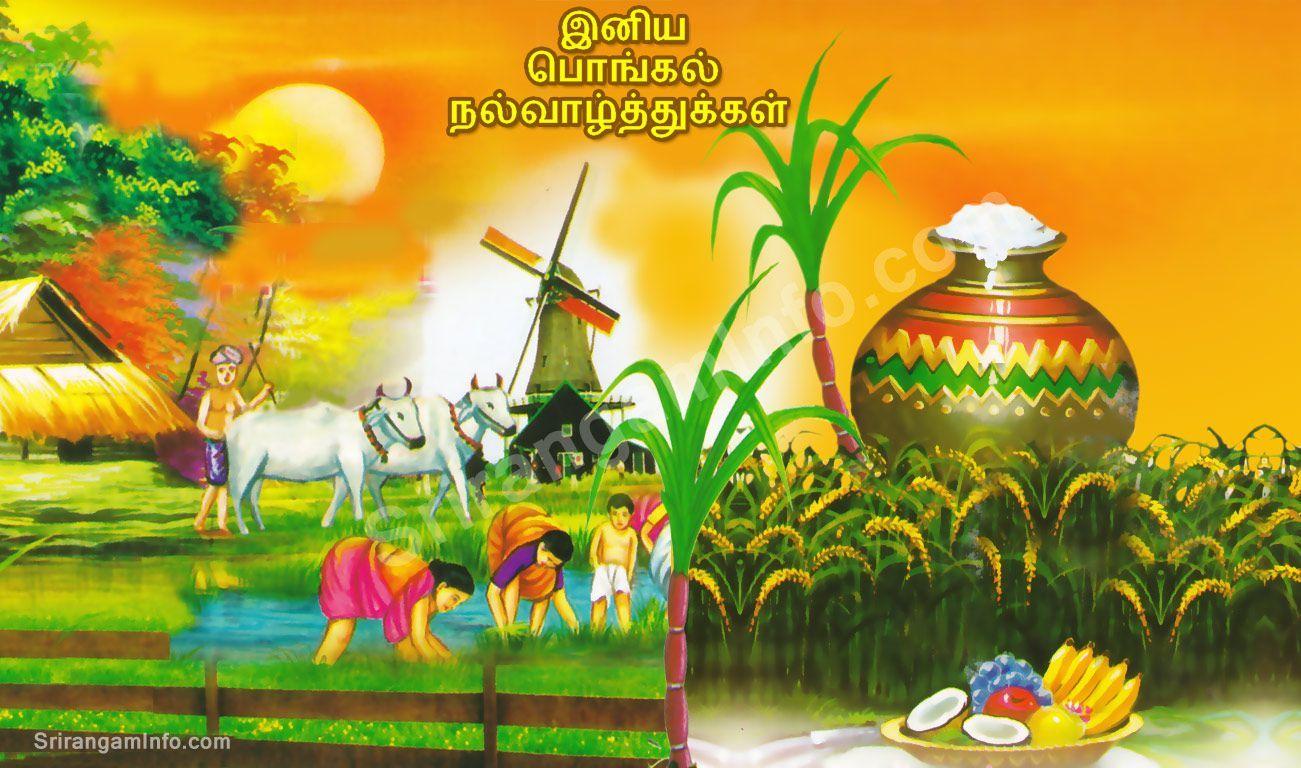 Tamil Pongal Wallpaper Free Tamil Pongal Background