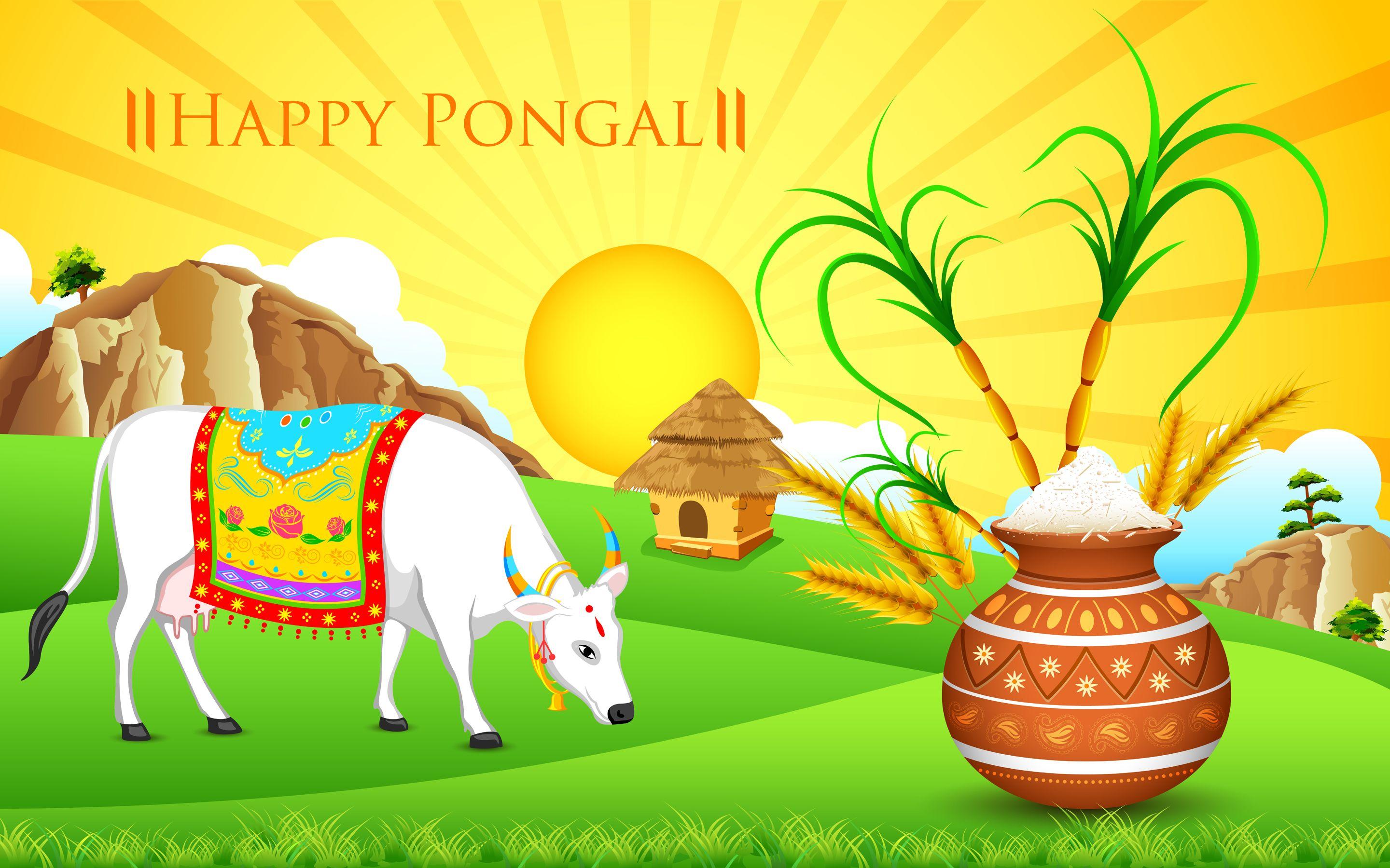 Happy Pongal Festival Wishes Lovely Desktop Wallpaper