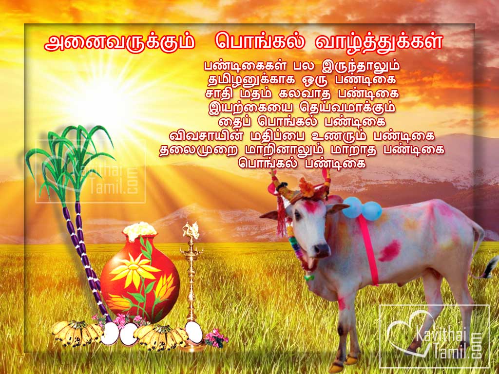 New HD Wallpaper For Pongal Wishes
