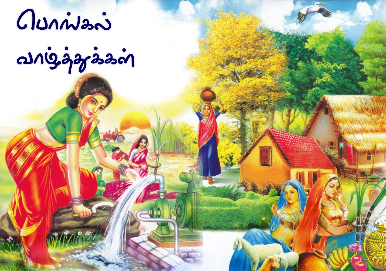 Pongal Greetings Pongal Wishes In Tamil