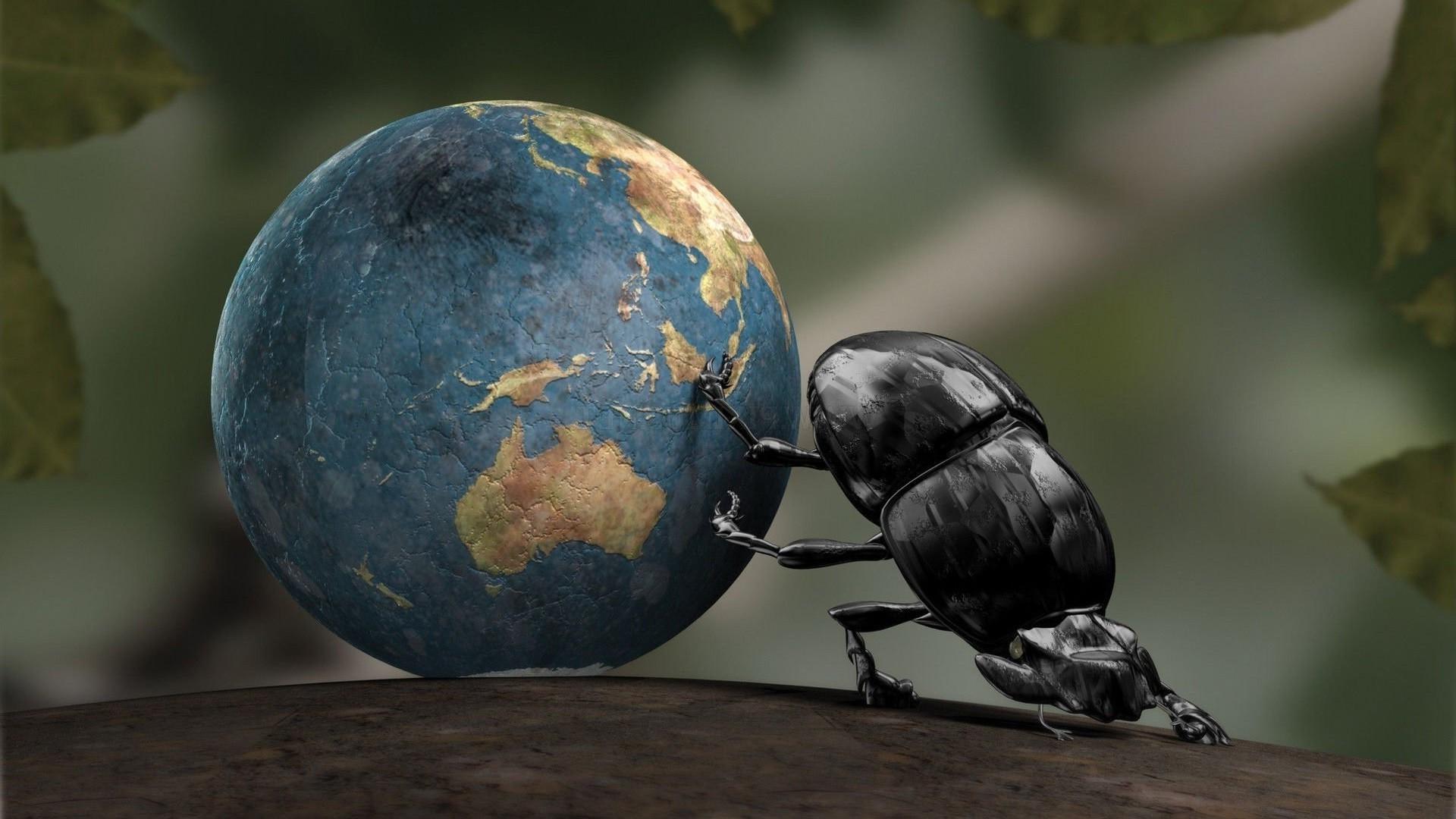 Earth, Insect, CGI, Dung Beetle, Crabs Wallpaper HD