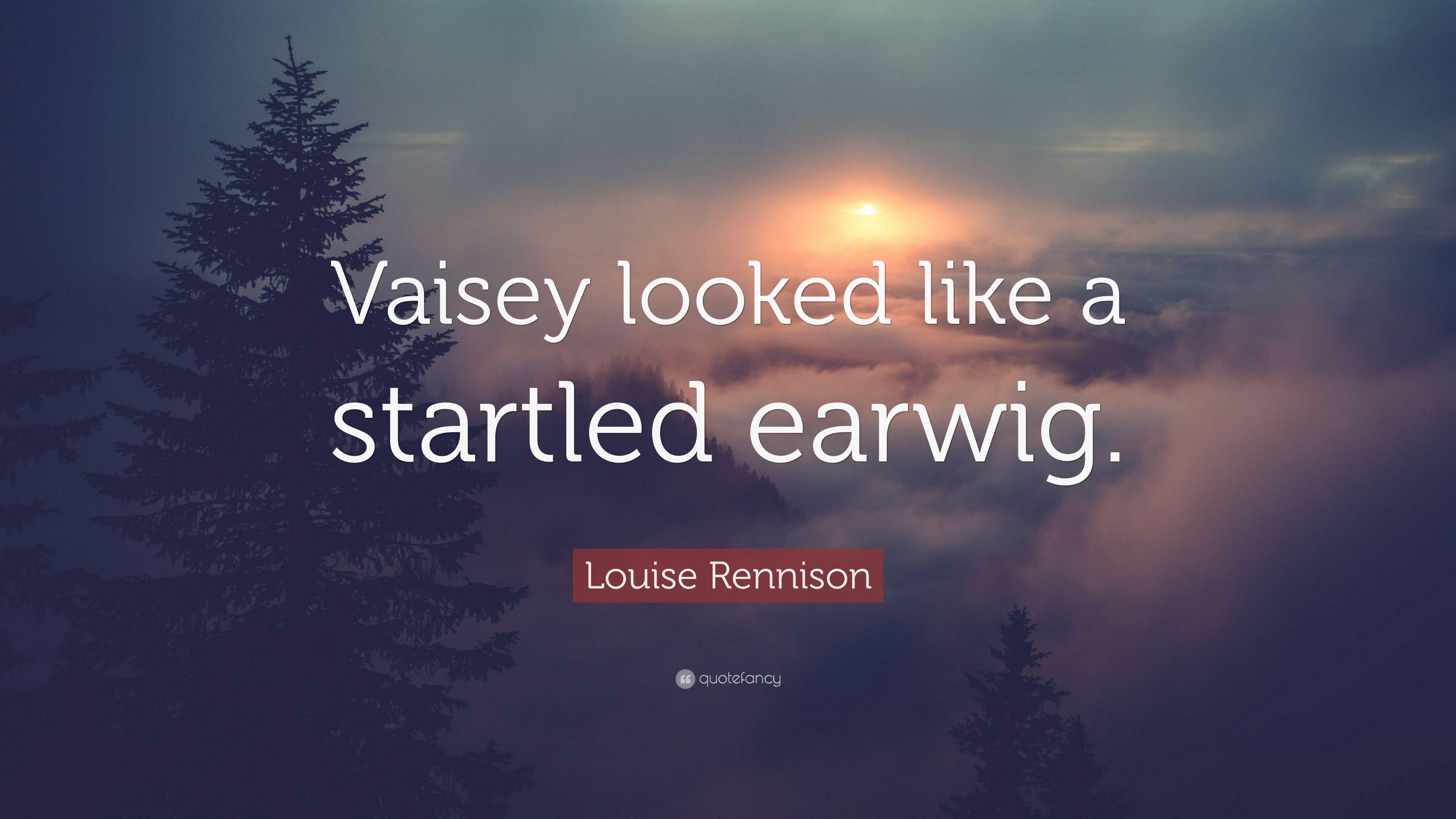 Louise Rennison Quote: “Vaisey looked like a startled earwig