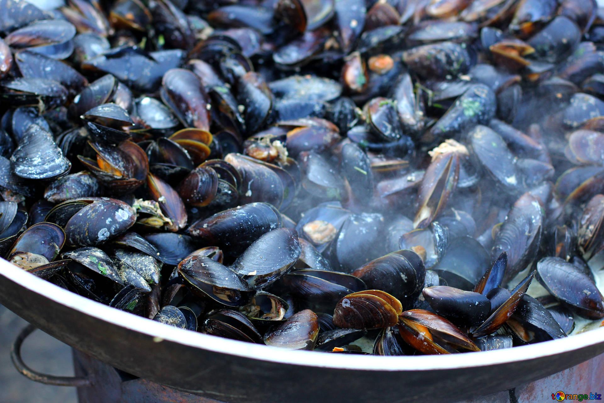 Seafood mussels fried trade № 47511