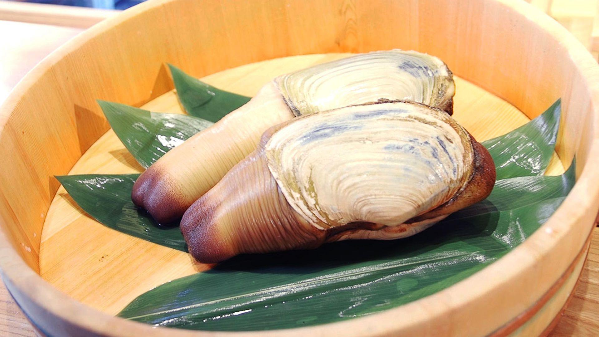 Watch: Geoduck Is the Star of This Seattle Omakase