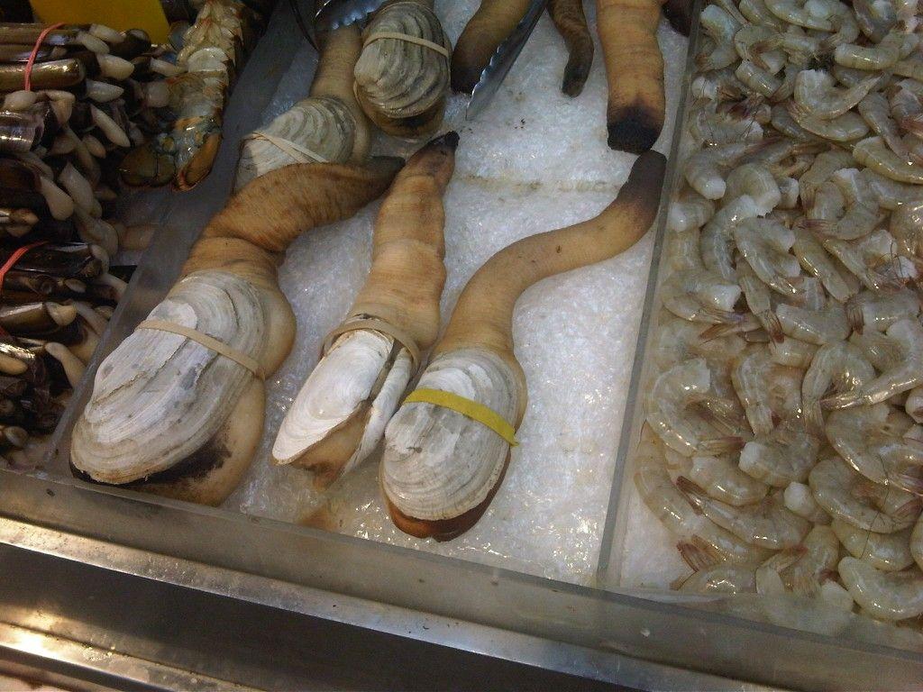 geoduck clams. Ballet shoes, Dance shoes, Shoes