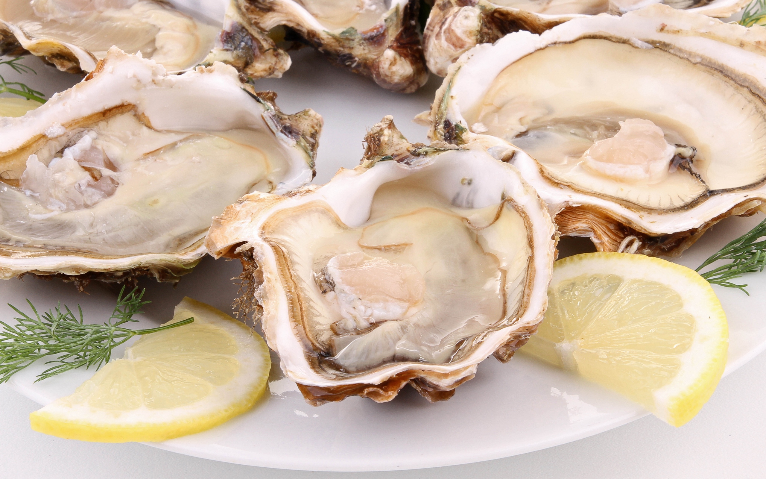 Download wallpaper 2560x1600 oysters, clams, dish, lemon