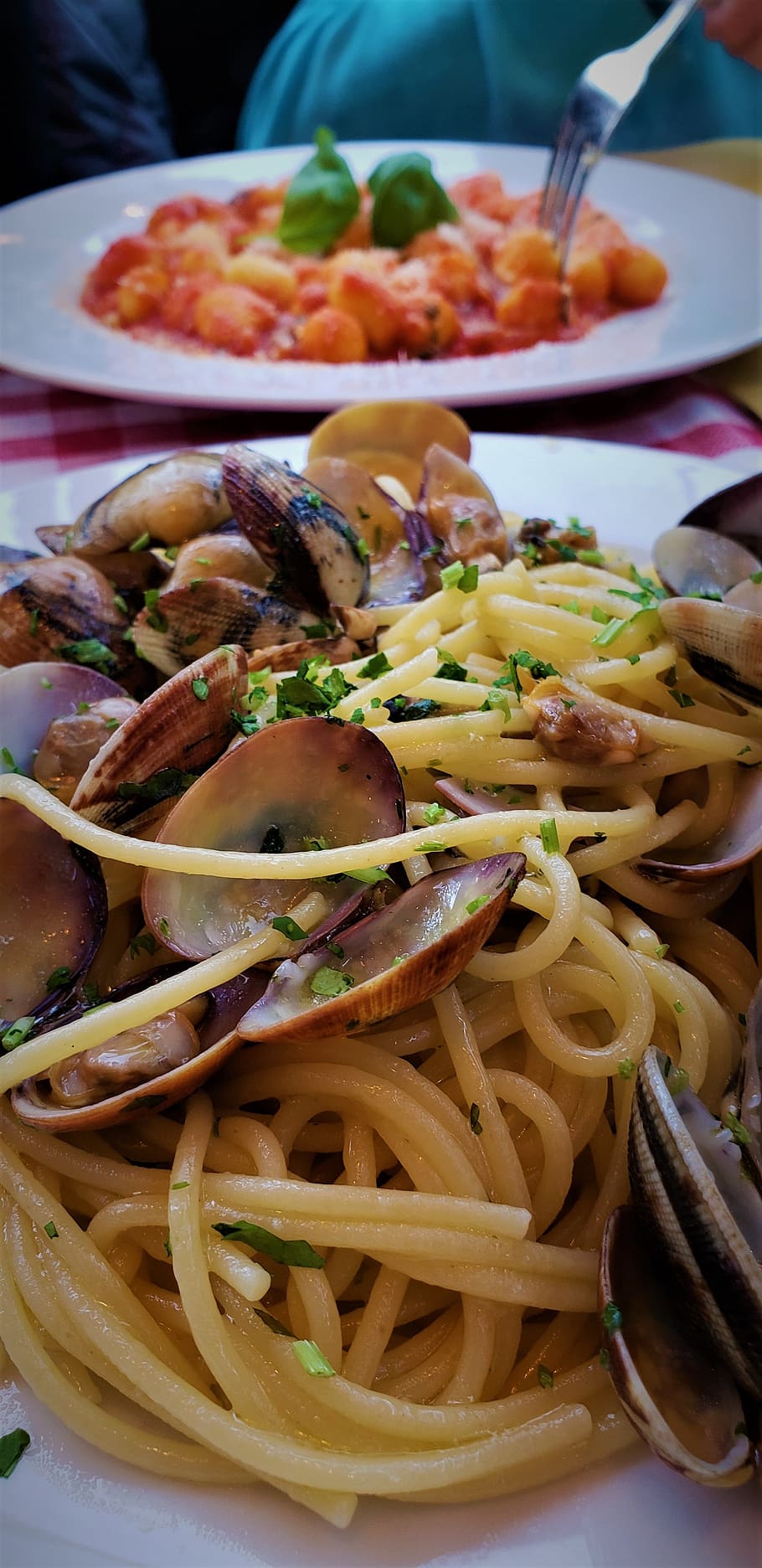 HD wallpaper: pasta, seafood, clams, italian, italy rome