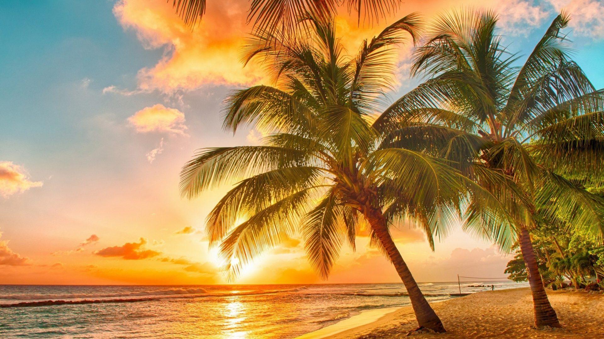 Tropical Sunset Palms Paradise Beach Sea HD Wallpaper