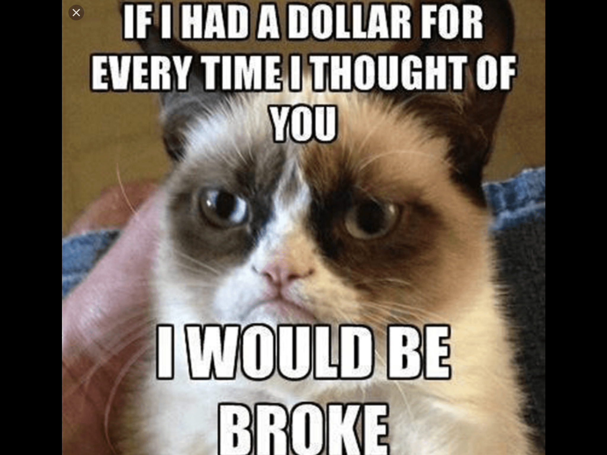 Some of my favorite grumpy cat memes
