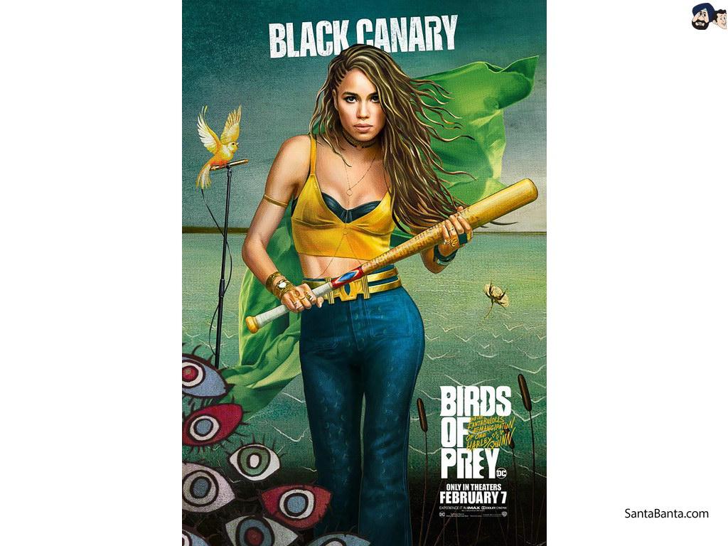 Black Canary Birds Of Prey Wallpapers Wallpaper Cave 