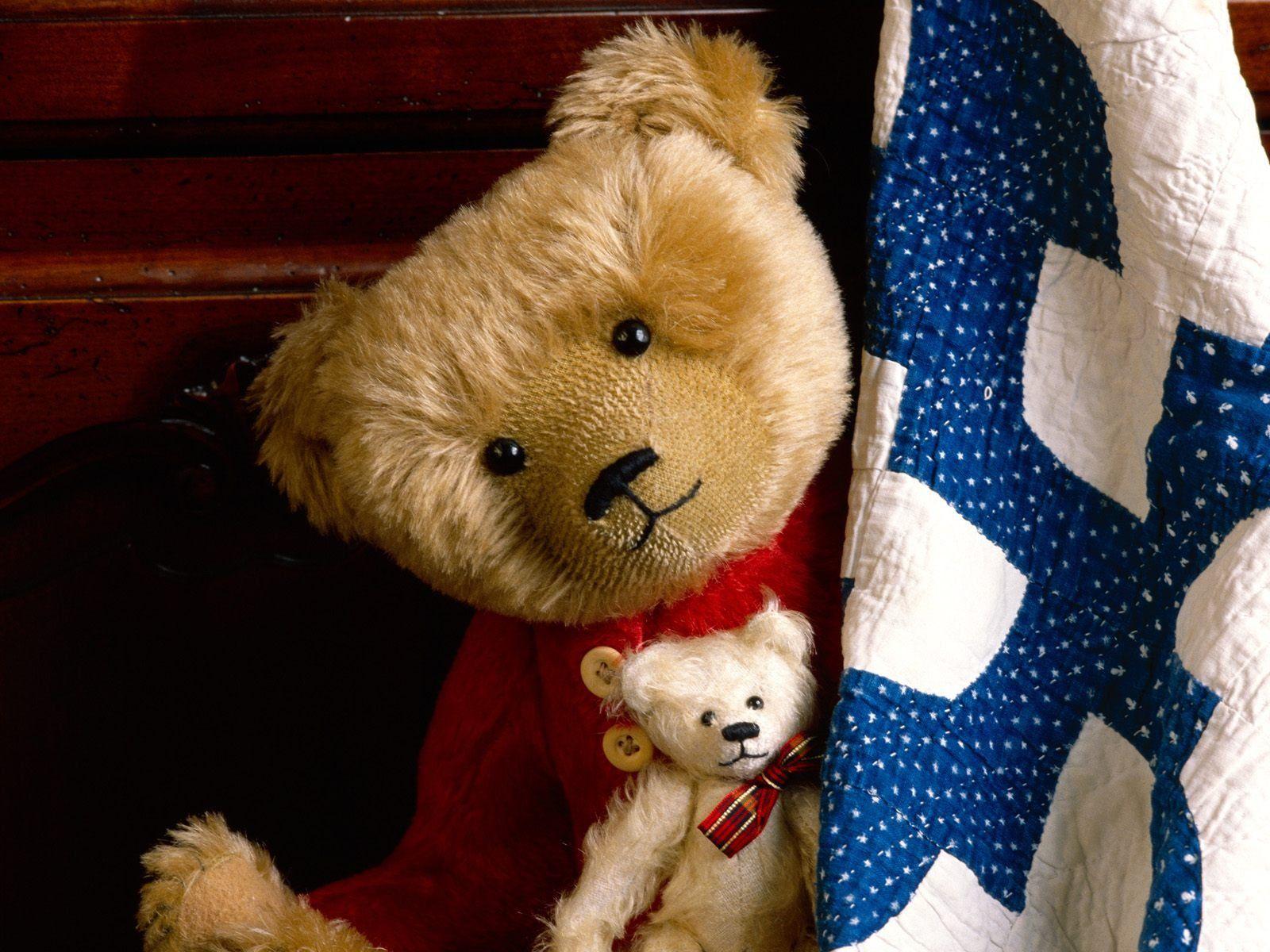 Teddy Bear smile Wallpaper download. Teddy bear picture