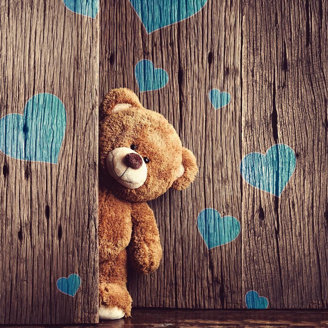teddy #teddybear #bear #animal #sleap #life #love #hearth