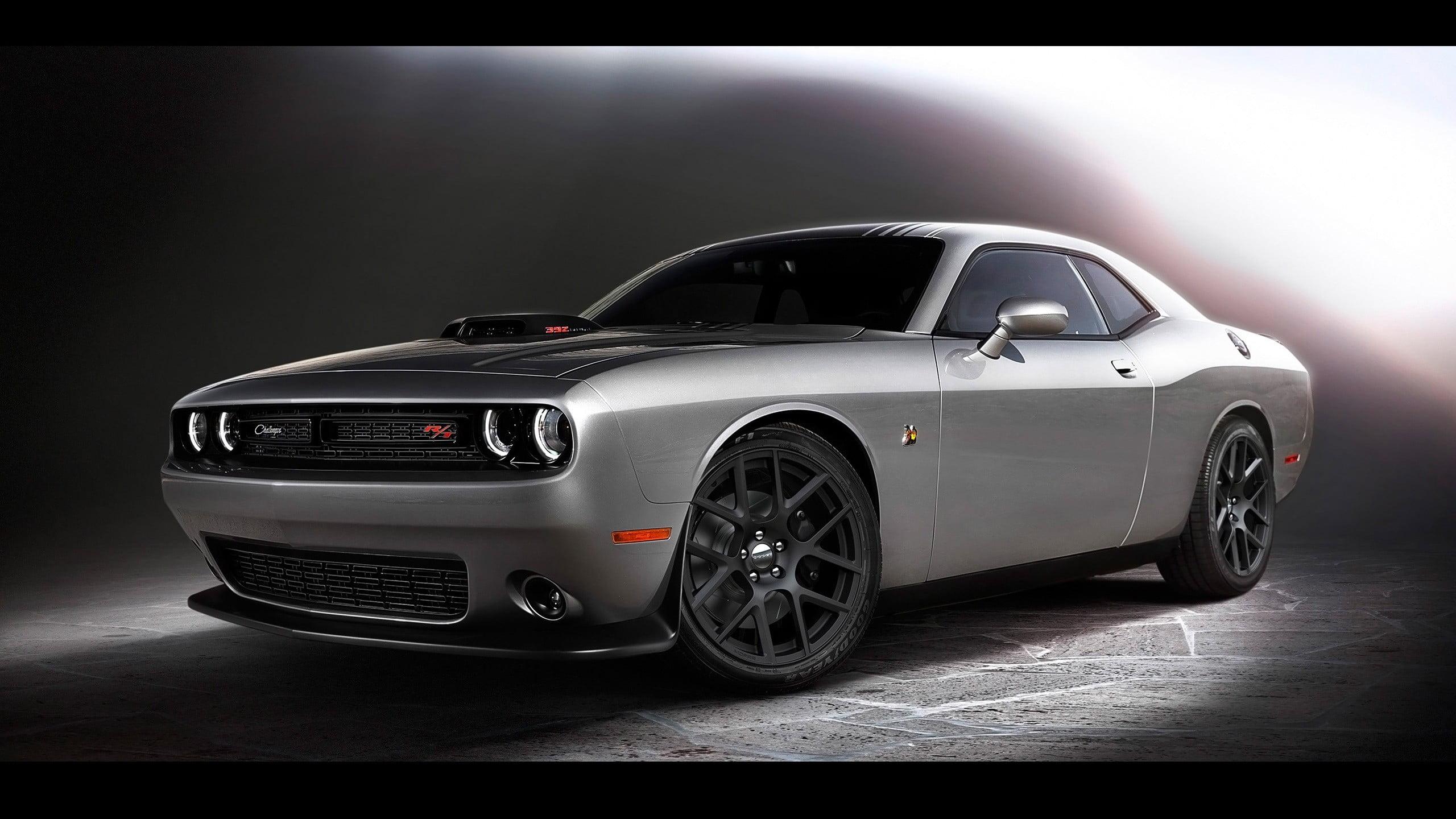 Gray and black Dodge Challenger HD wallpaper