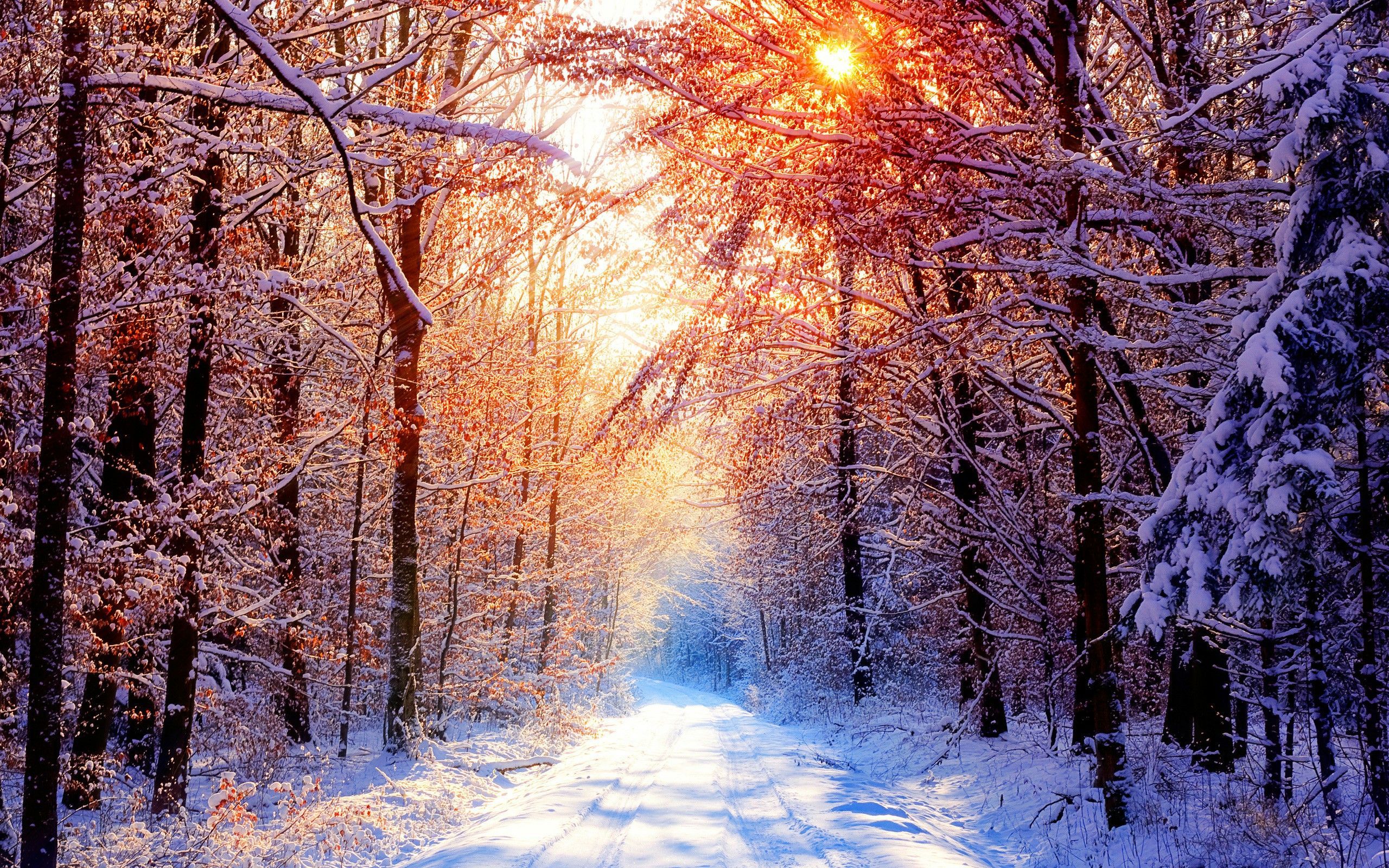 Check the best collection of Winter Desktop Wallpaper