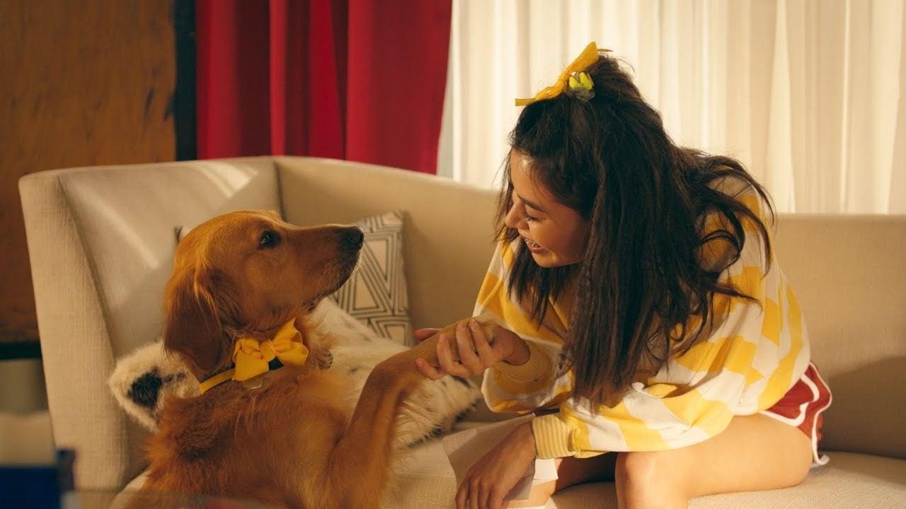 Happier by Marshmello feat. Bastille. Sing Your Way Into the Single Life With