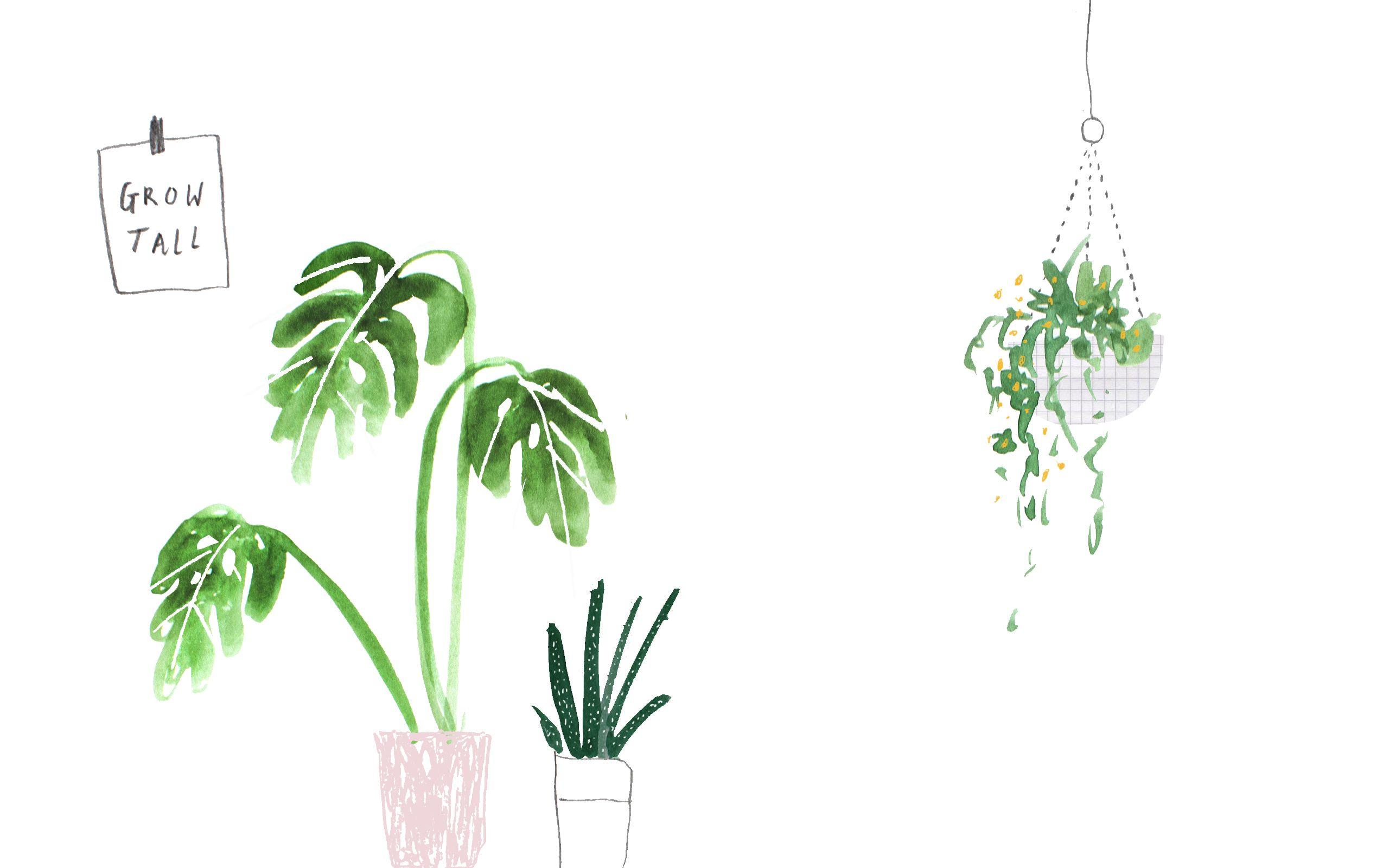 Minimalist Pastel Desktop Plant Wallpapers - Wallpaper Cave