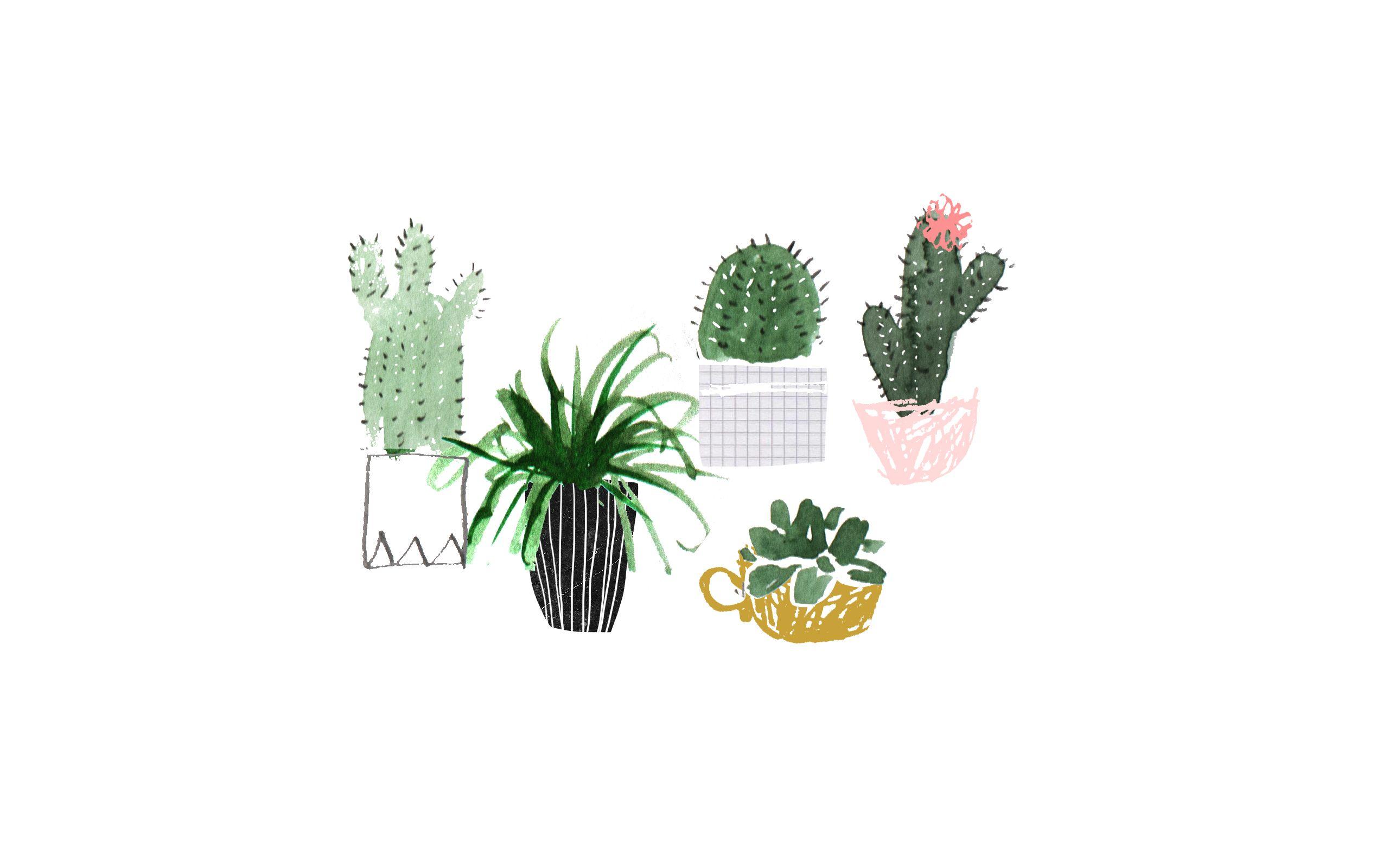 Desktop background wallpaper plants. Aesthetic desktop wallpaper