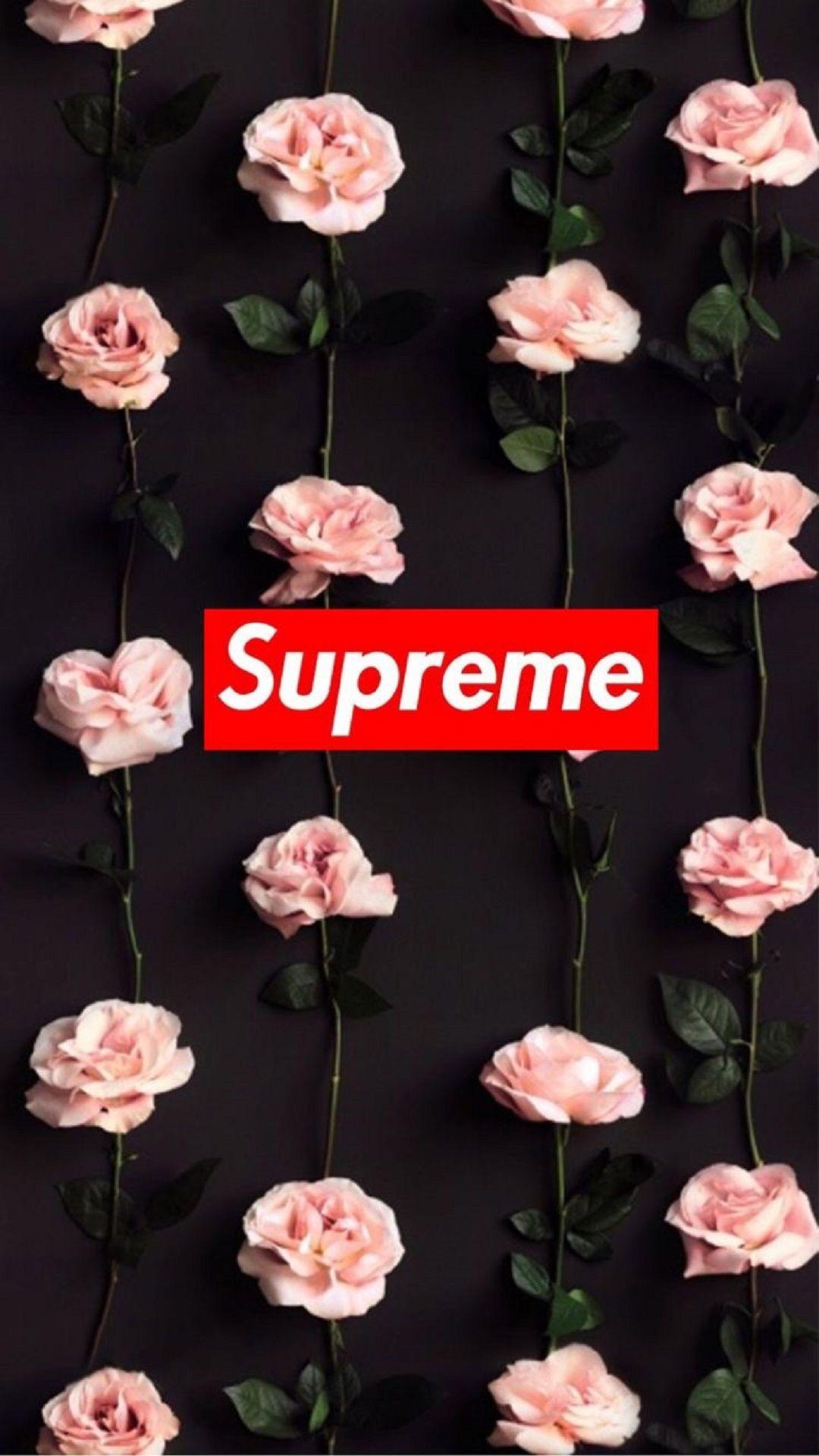 Supreme Roses Apple iPhone 7 Plus HD wallpaper available