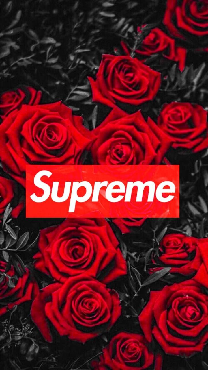 supreme rose wallpaper