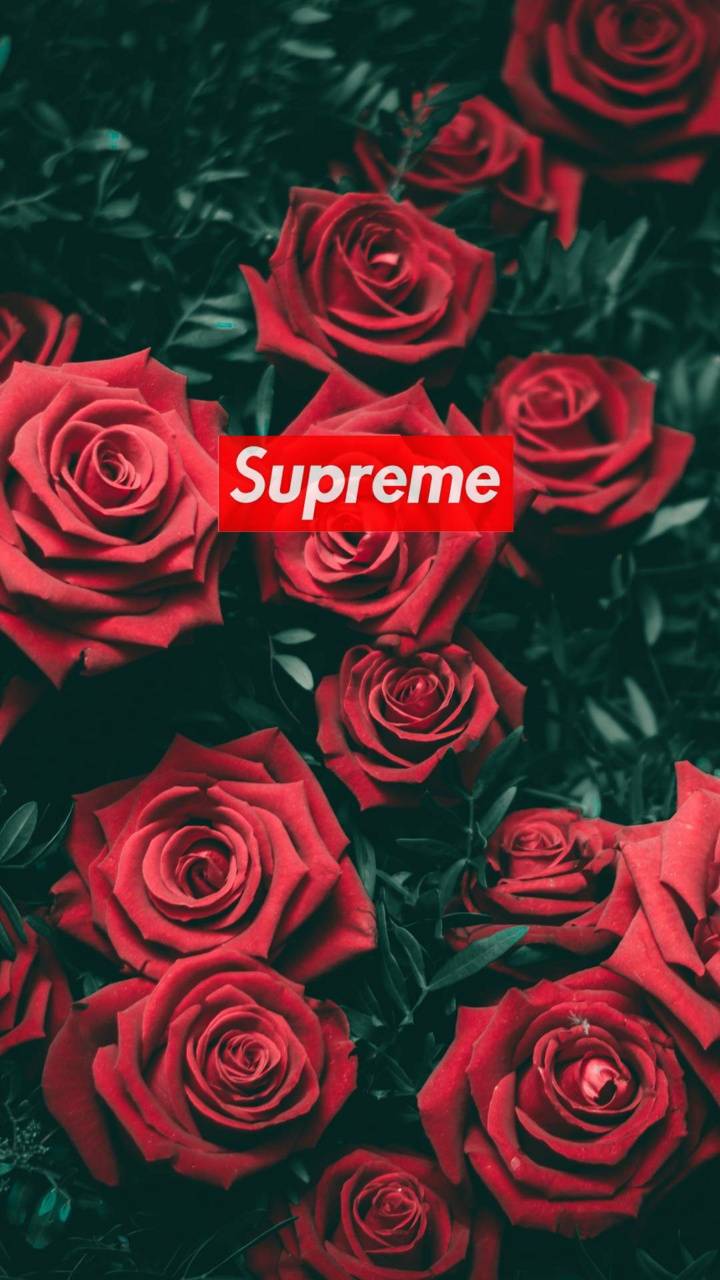 Supreme roses wallpaper