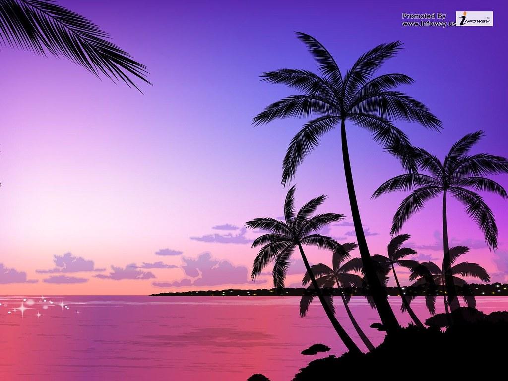 sunset palm trees HD wallpaper. sunset palm trees HD wallpa